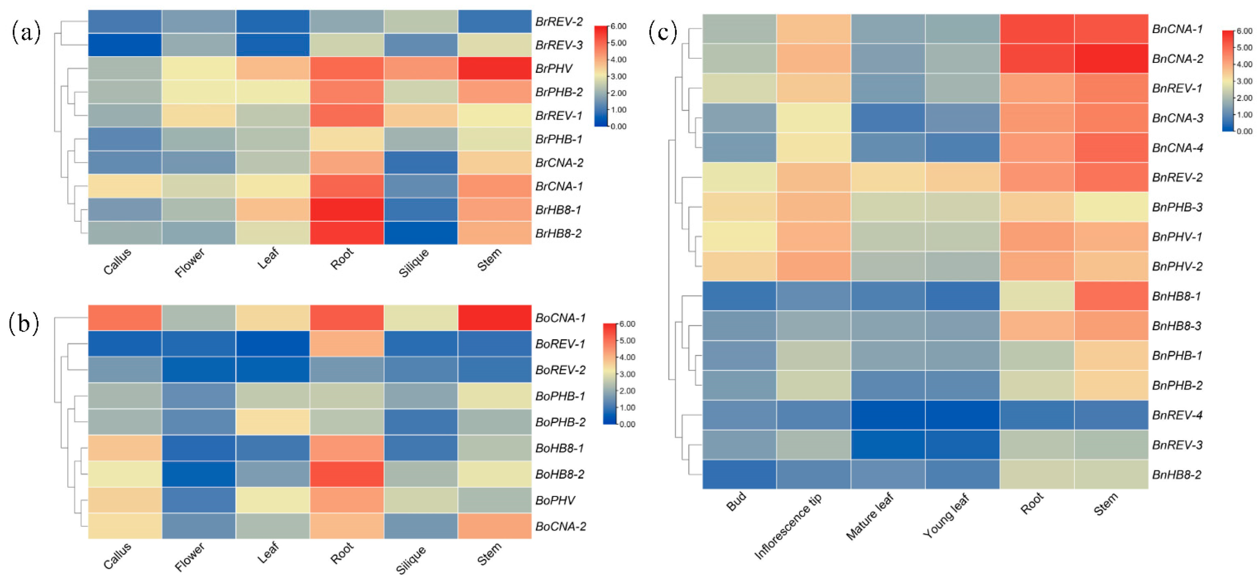 Diversity 13 00684 g005