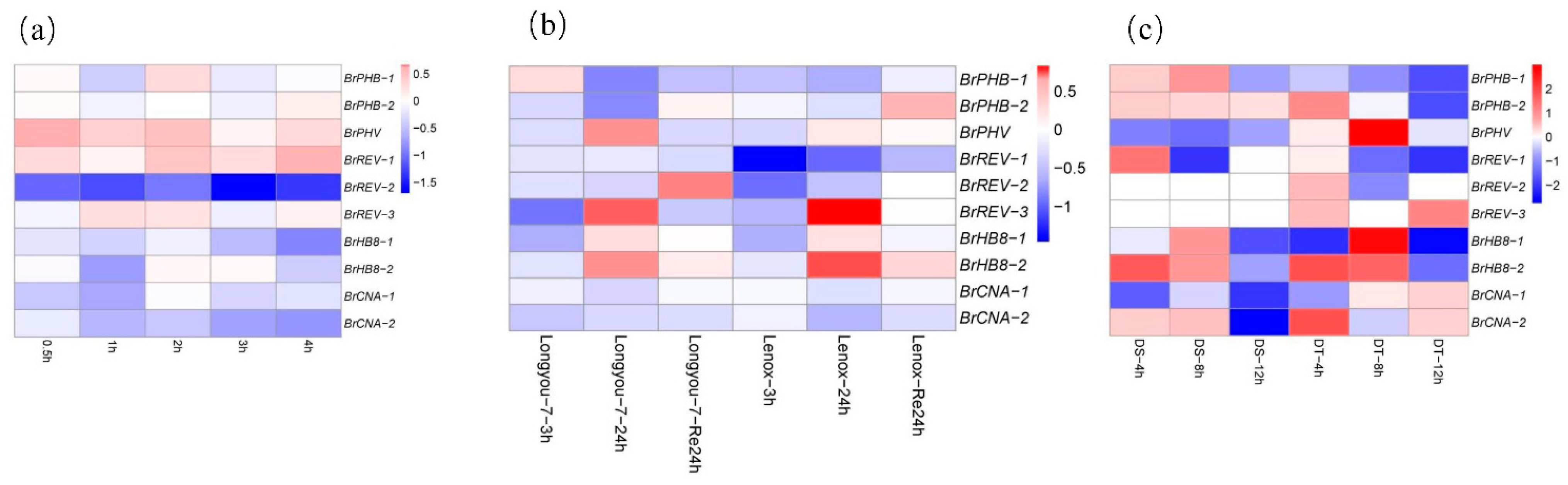Diversity 13 00684 g006