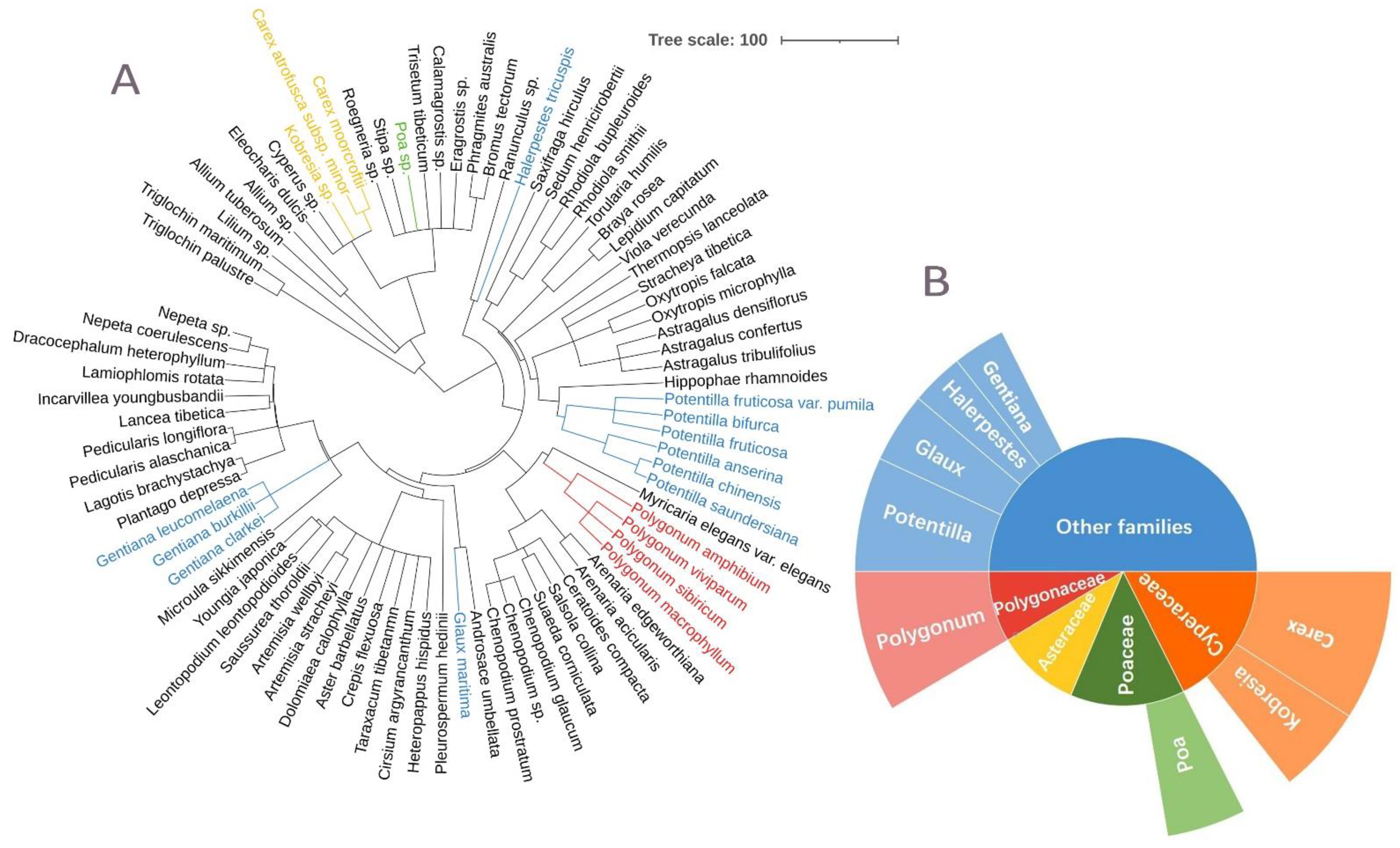 Diversity 13 00685 g002 550