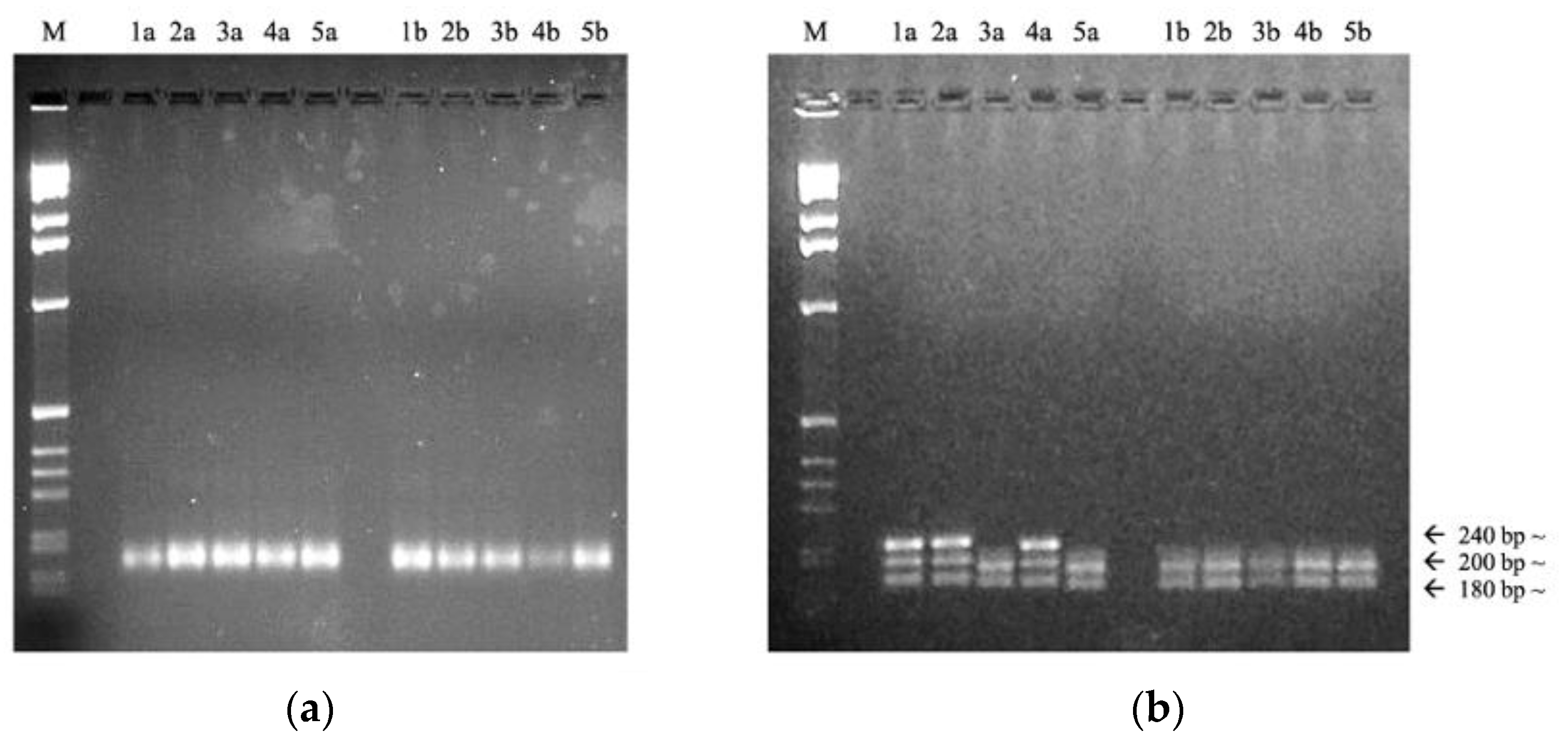 Diversity 14 00003 g002 Diversity 14 00003 g002