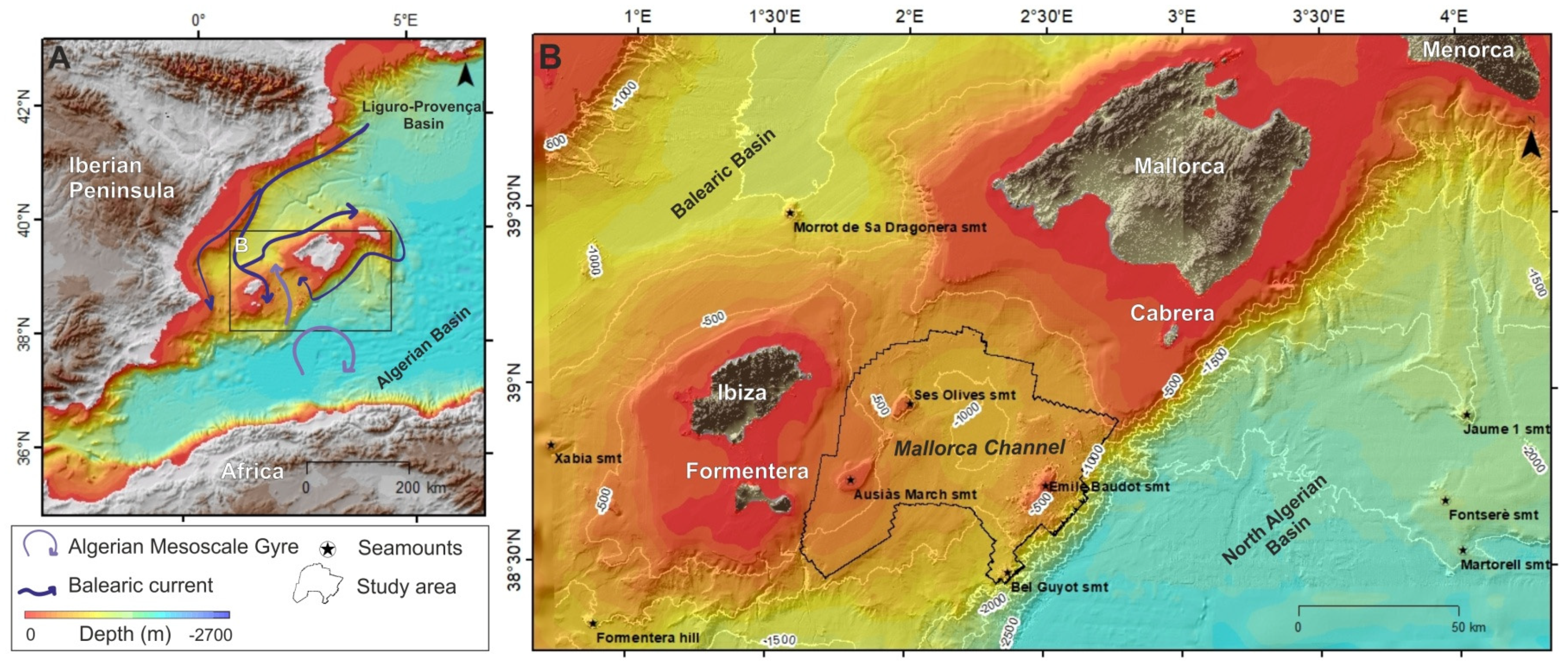 Diversity 14 00004 g001