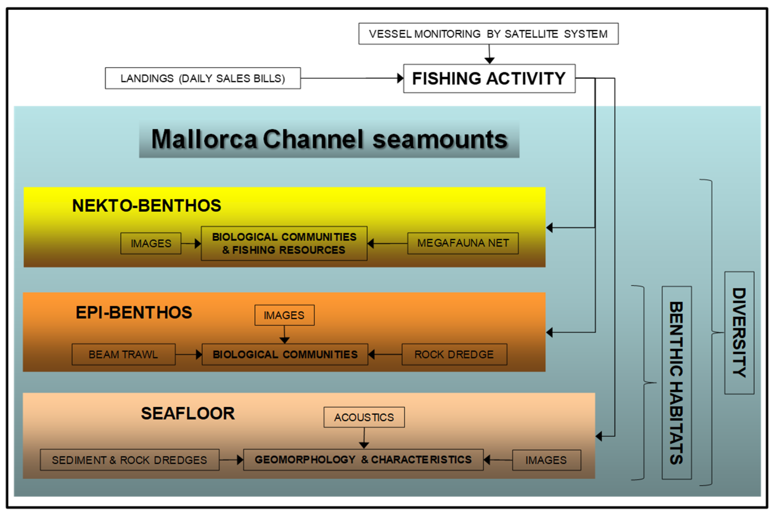 Diversity 14 00004 g002