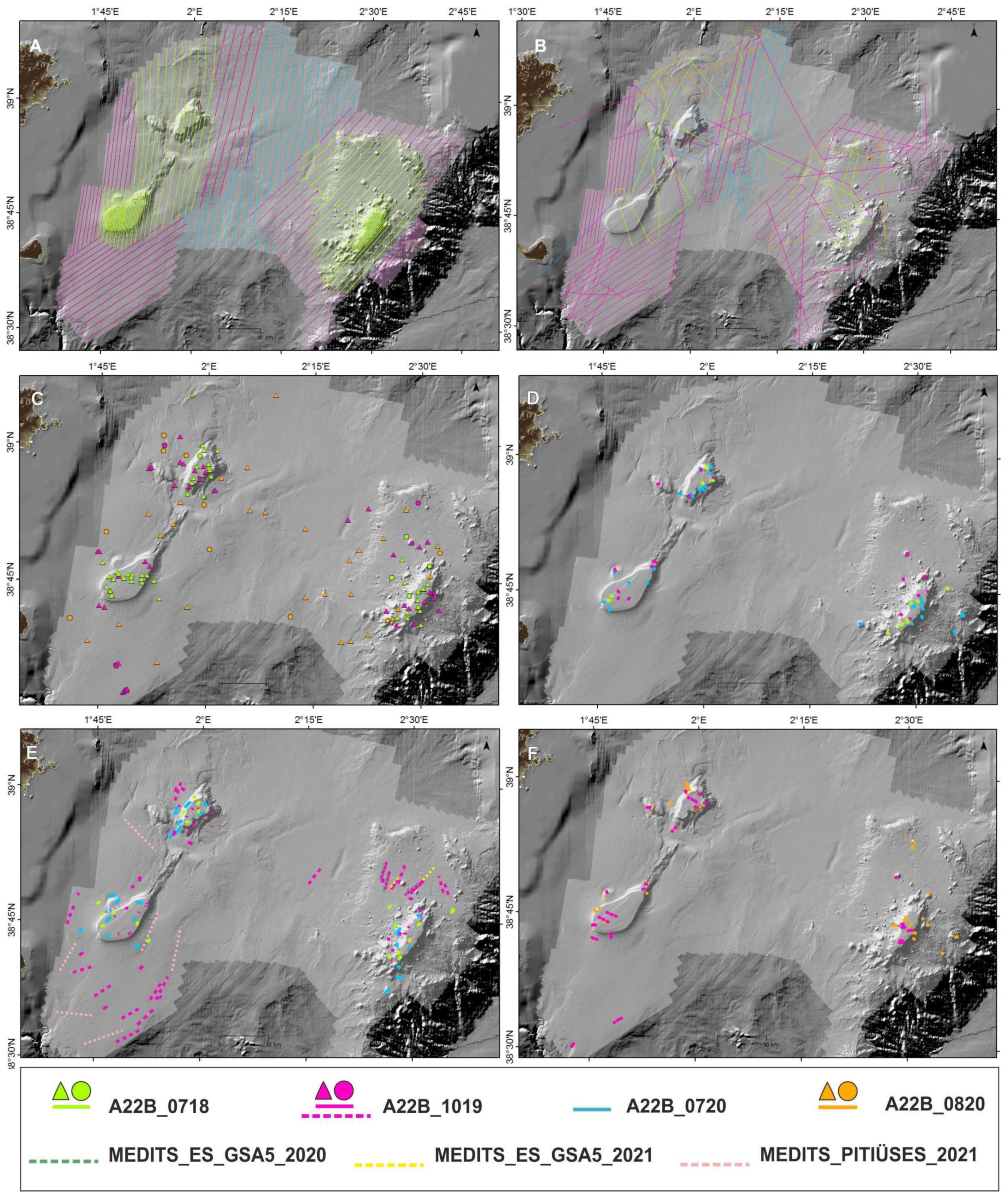 Diversity 14 00004 g003