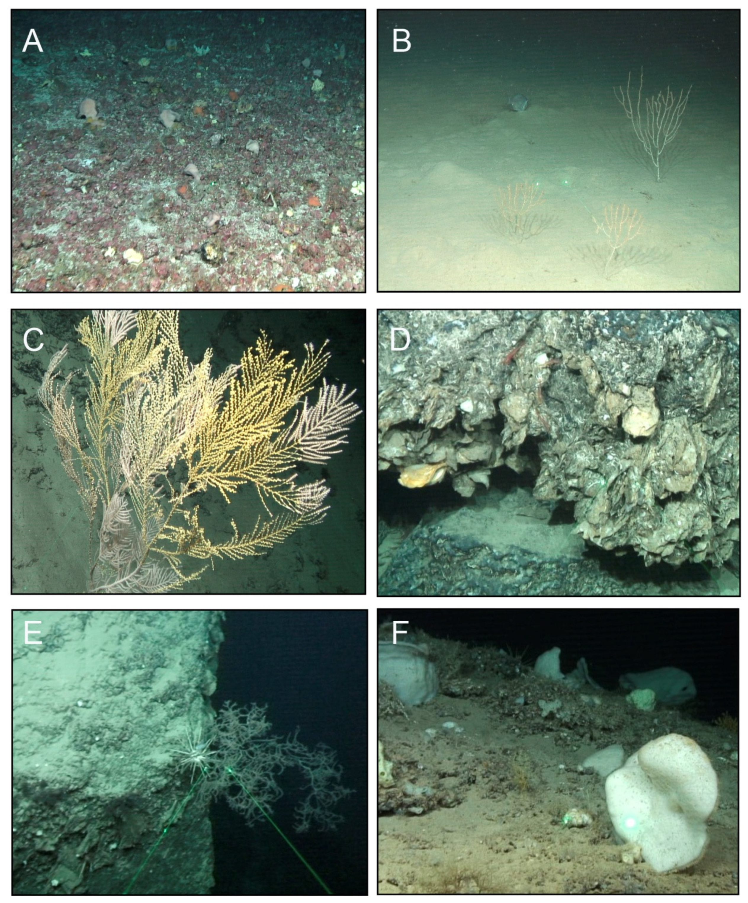 Diversity 14 00004 g009