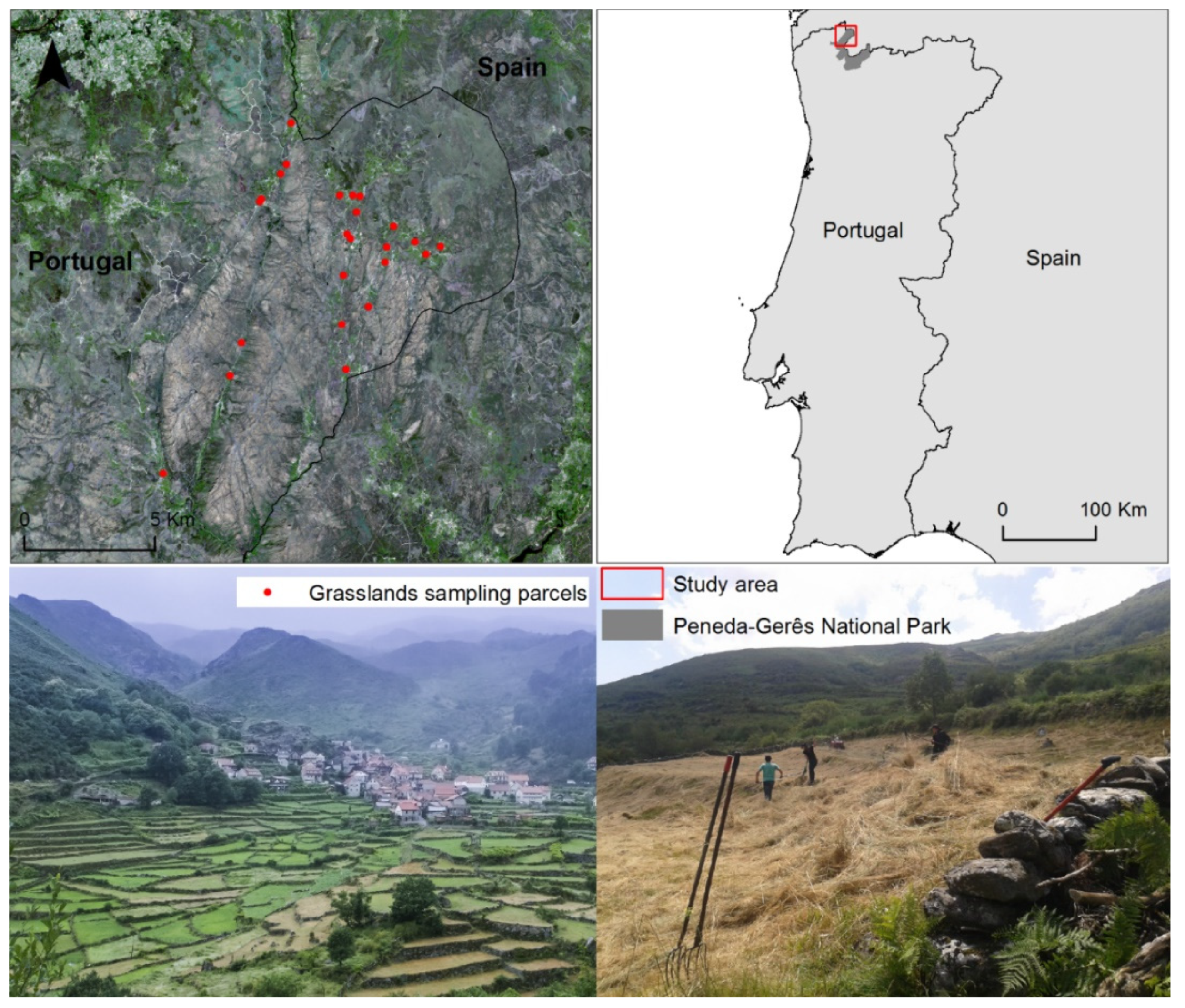 Diversity 14 00008 g001