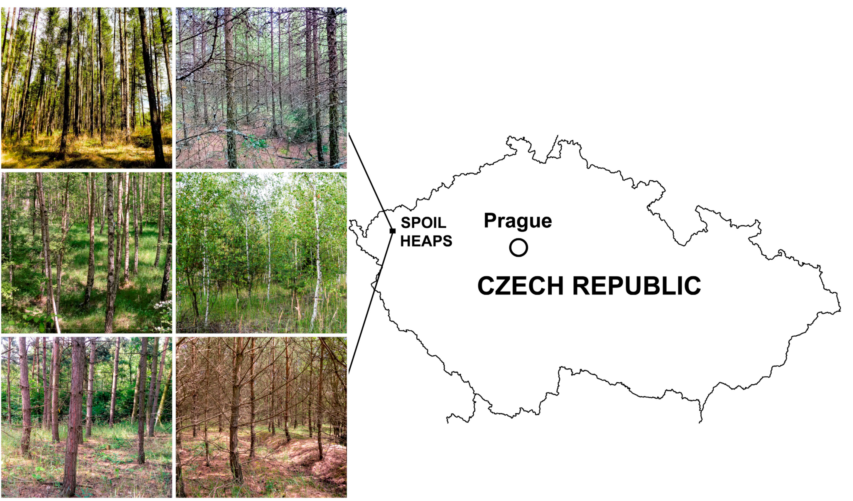 Diversity 14 00013 g001 Diversity 14 00013 g001