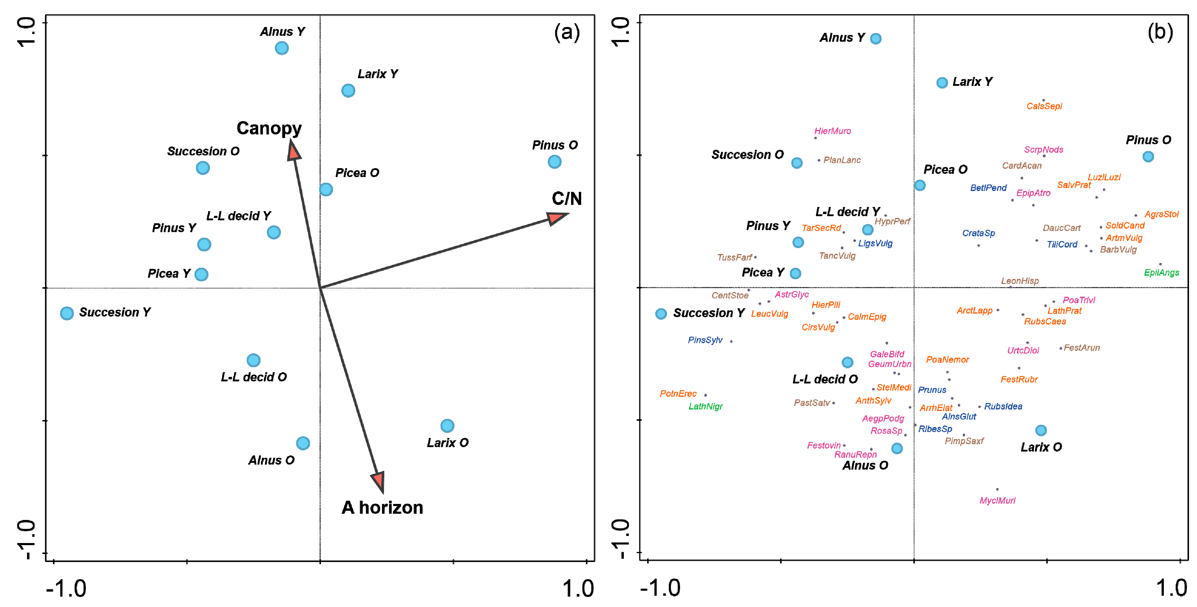 Diversity 14 00013 g008 Diversity 14 00013 g008