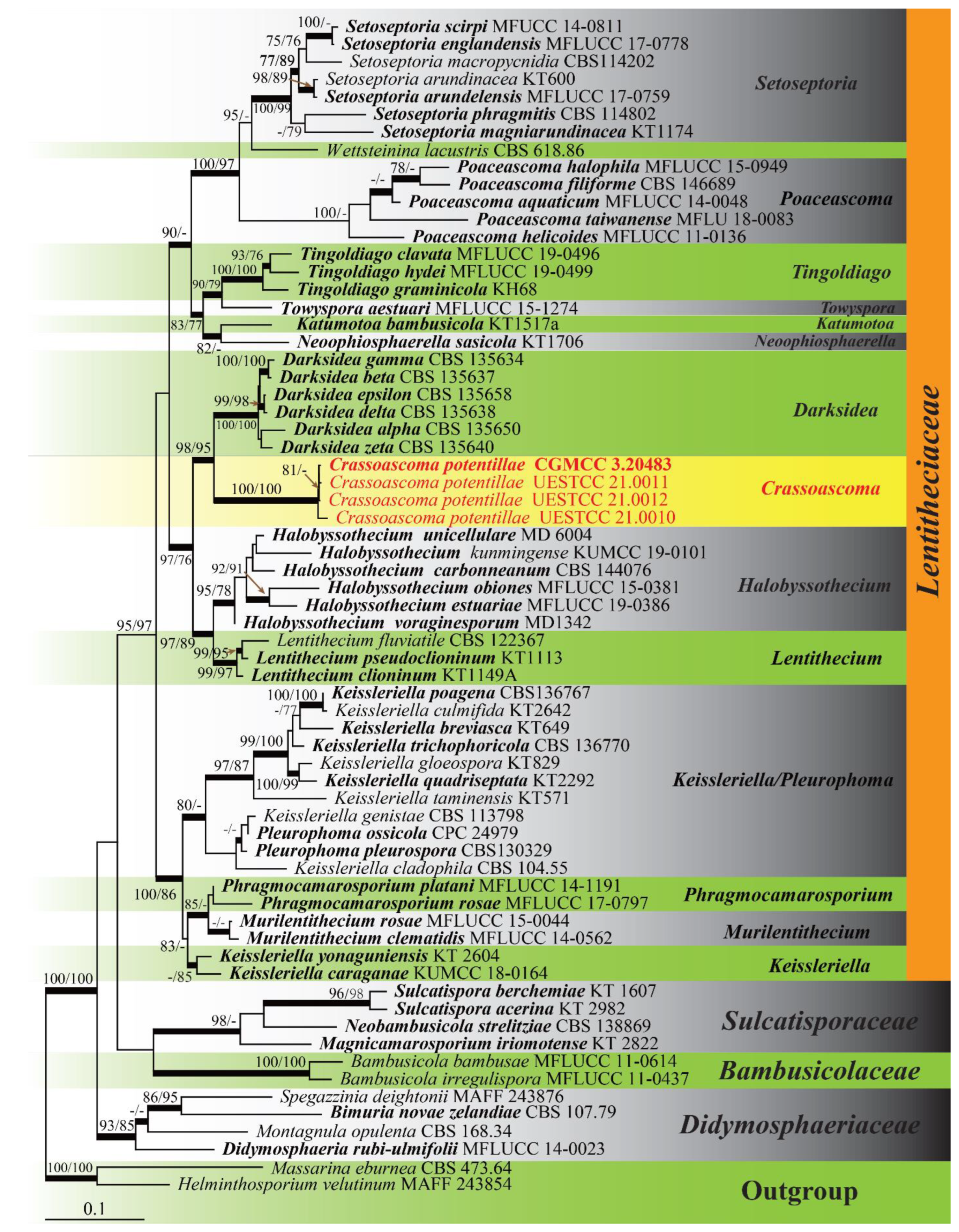 Diversity 14 00015 g001