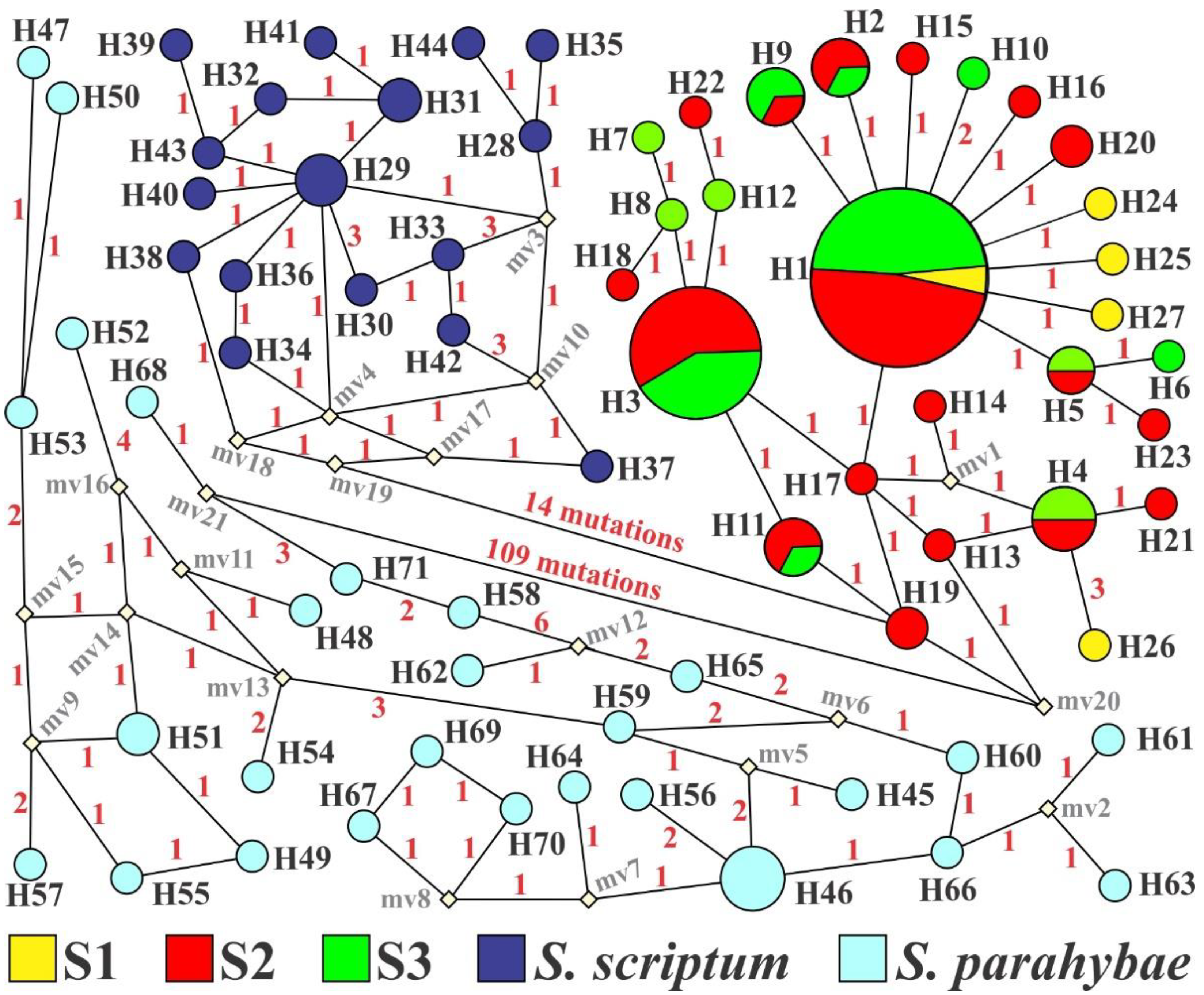 Diversity 14 00016 g003