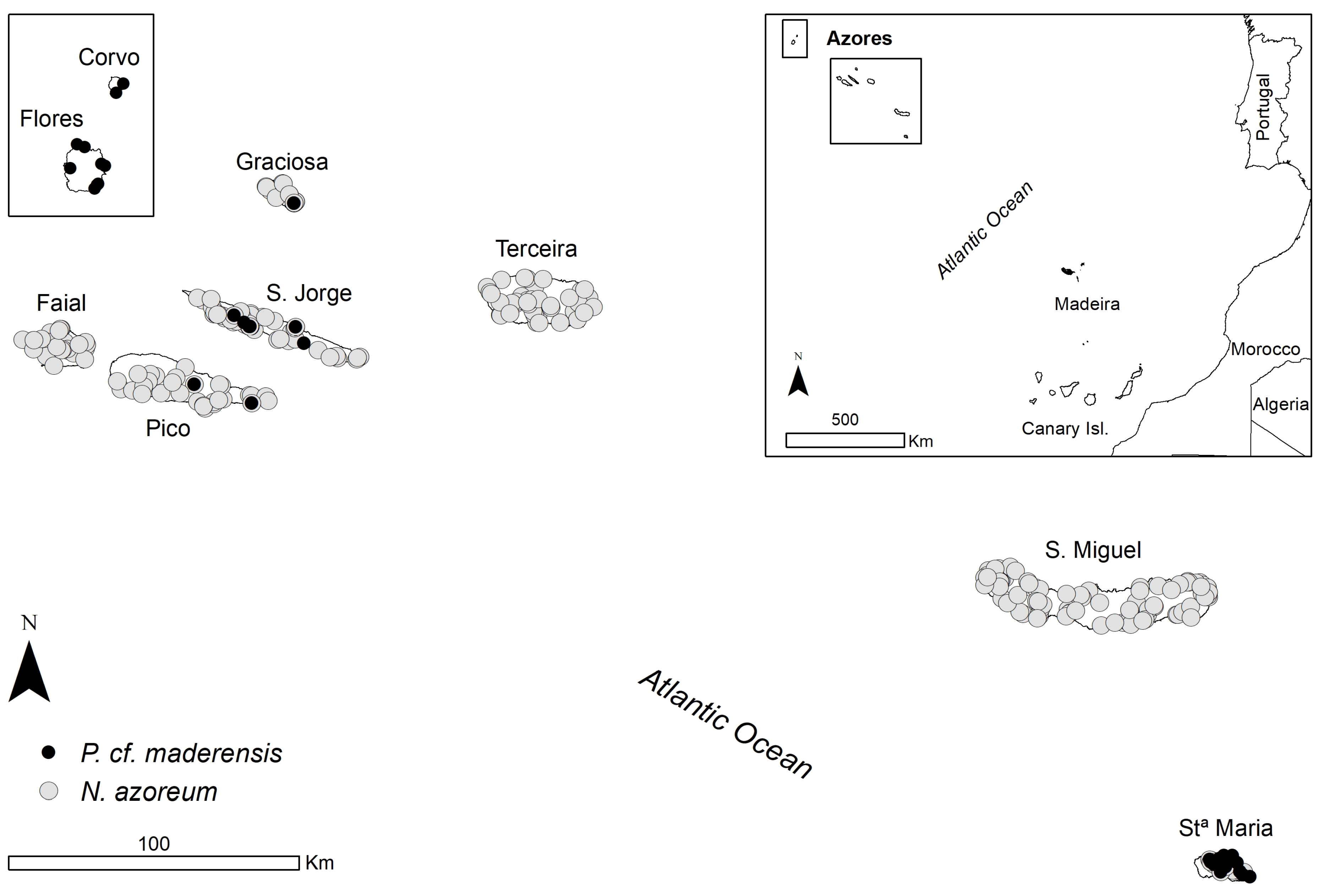 Diversity 14 00017 g001 Diversity 14 00017 g001