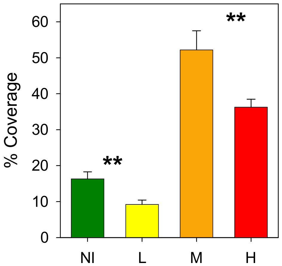 Diversity 14 00020 g009