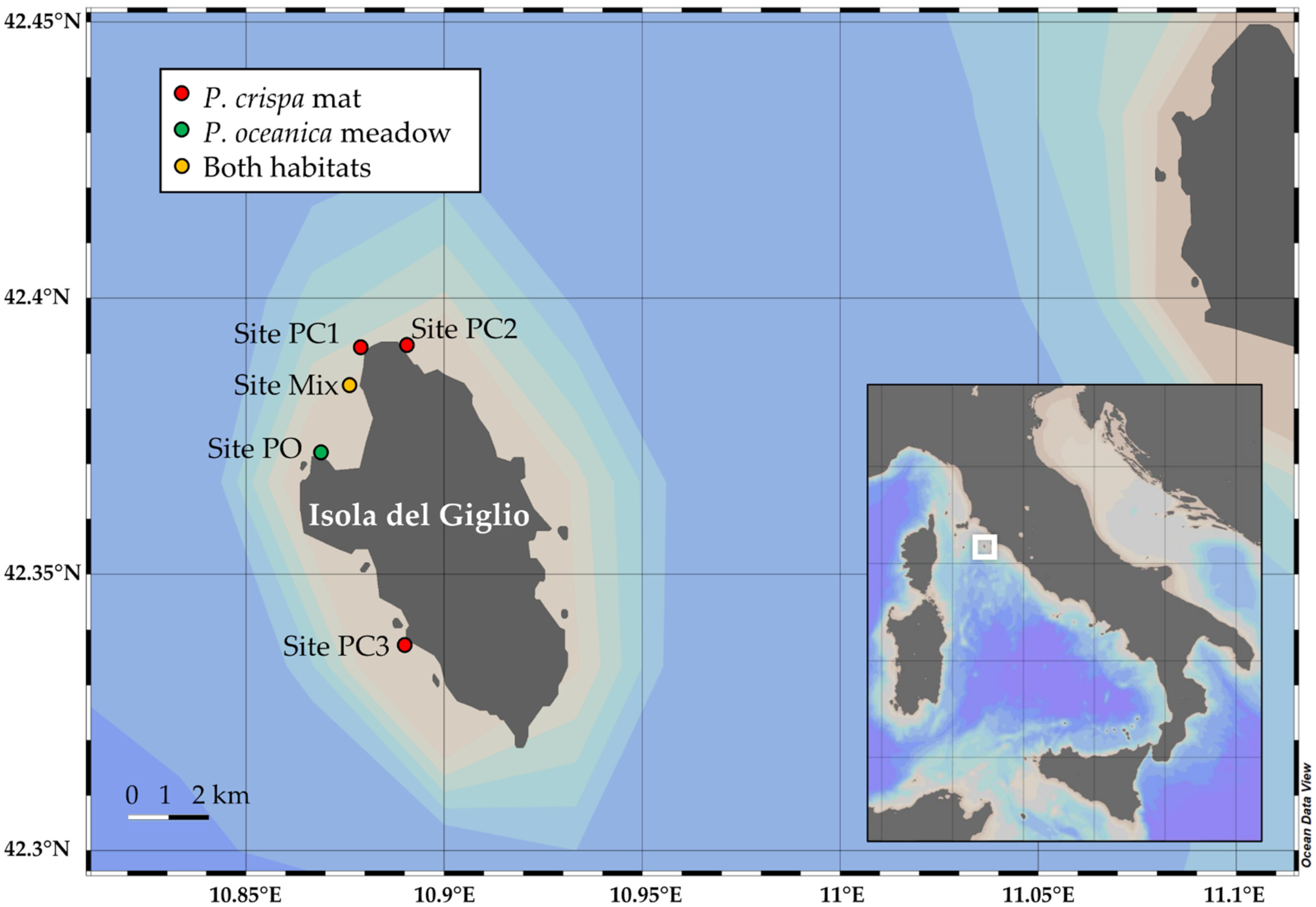 Diversity 14 00021 g001