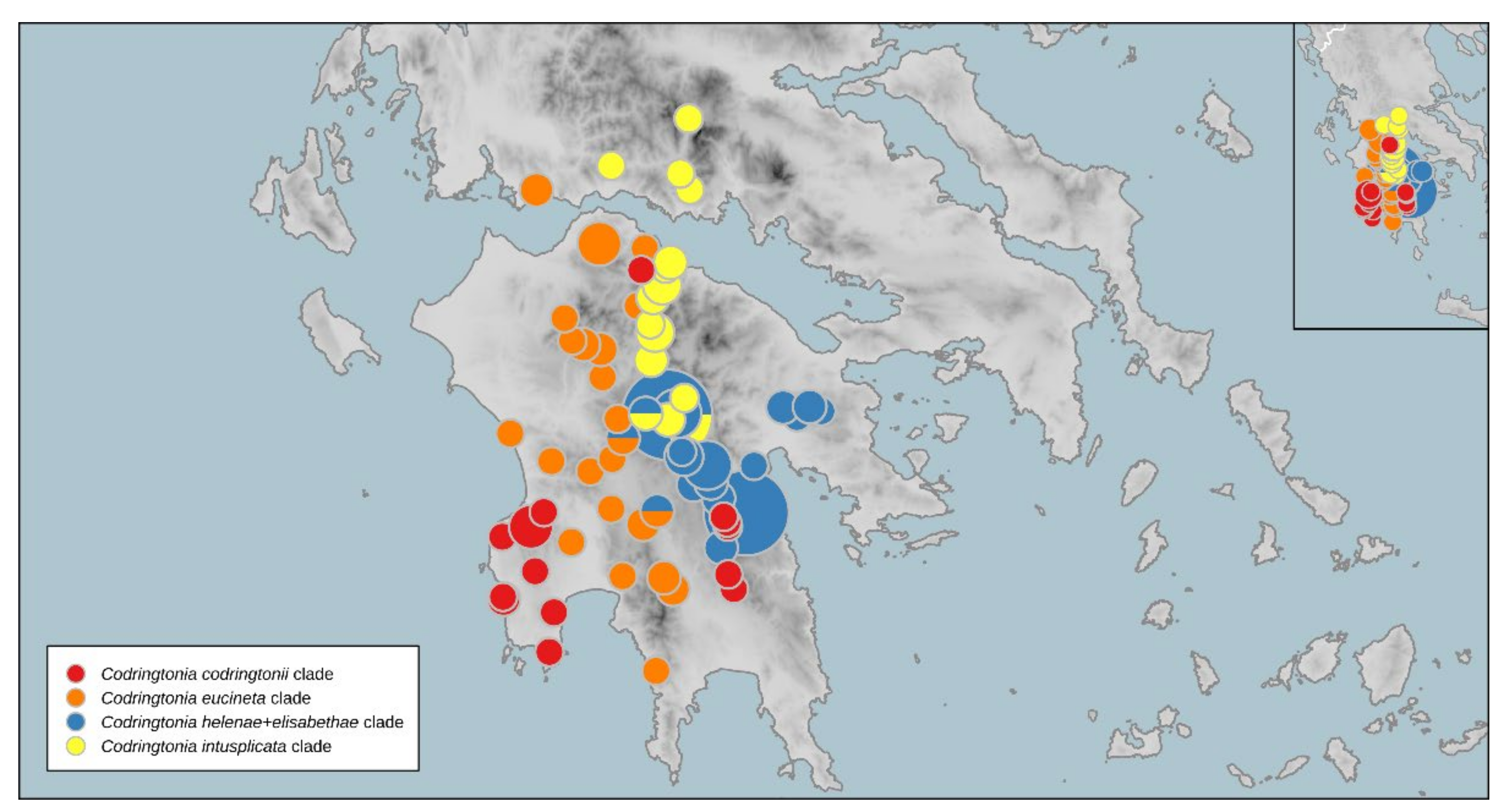Diversity 14 00024 g004 Diversity 14 00024 g004