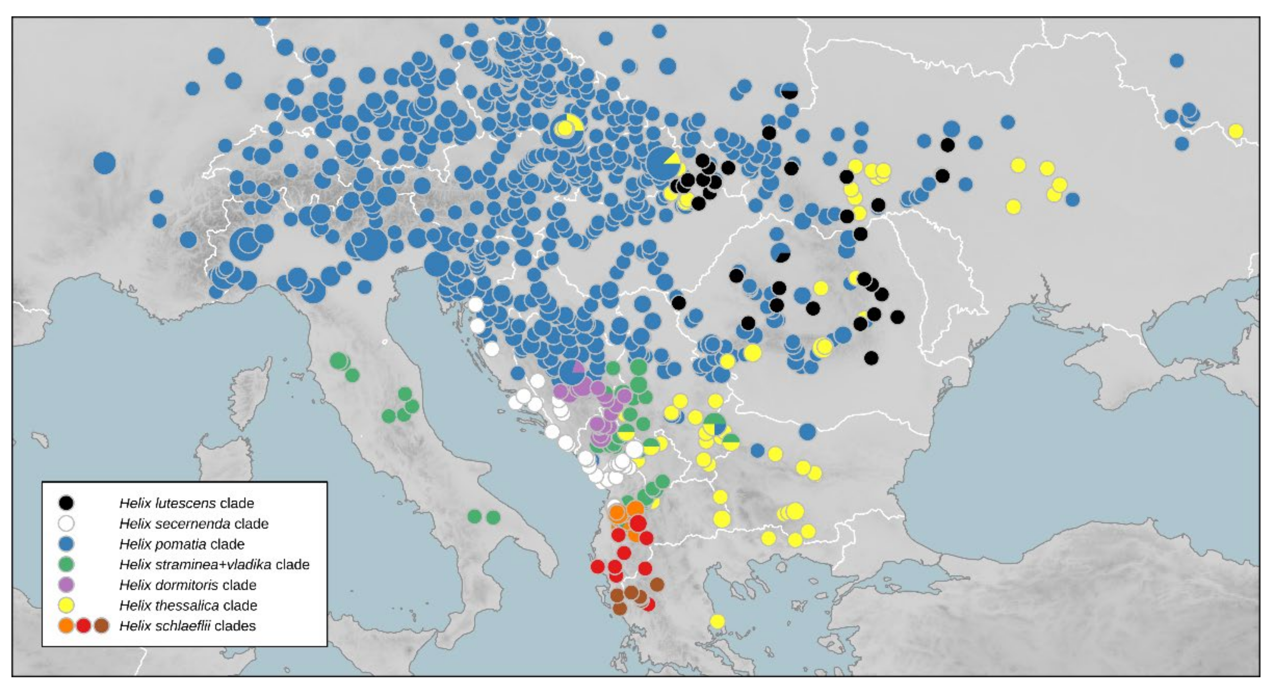 Diversity 14 00024 g005 Diversity 14 00024 g005