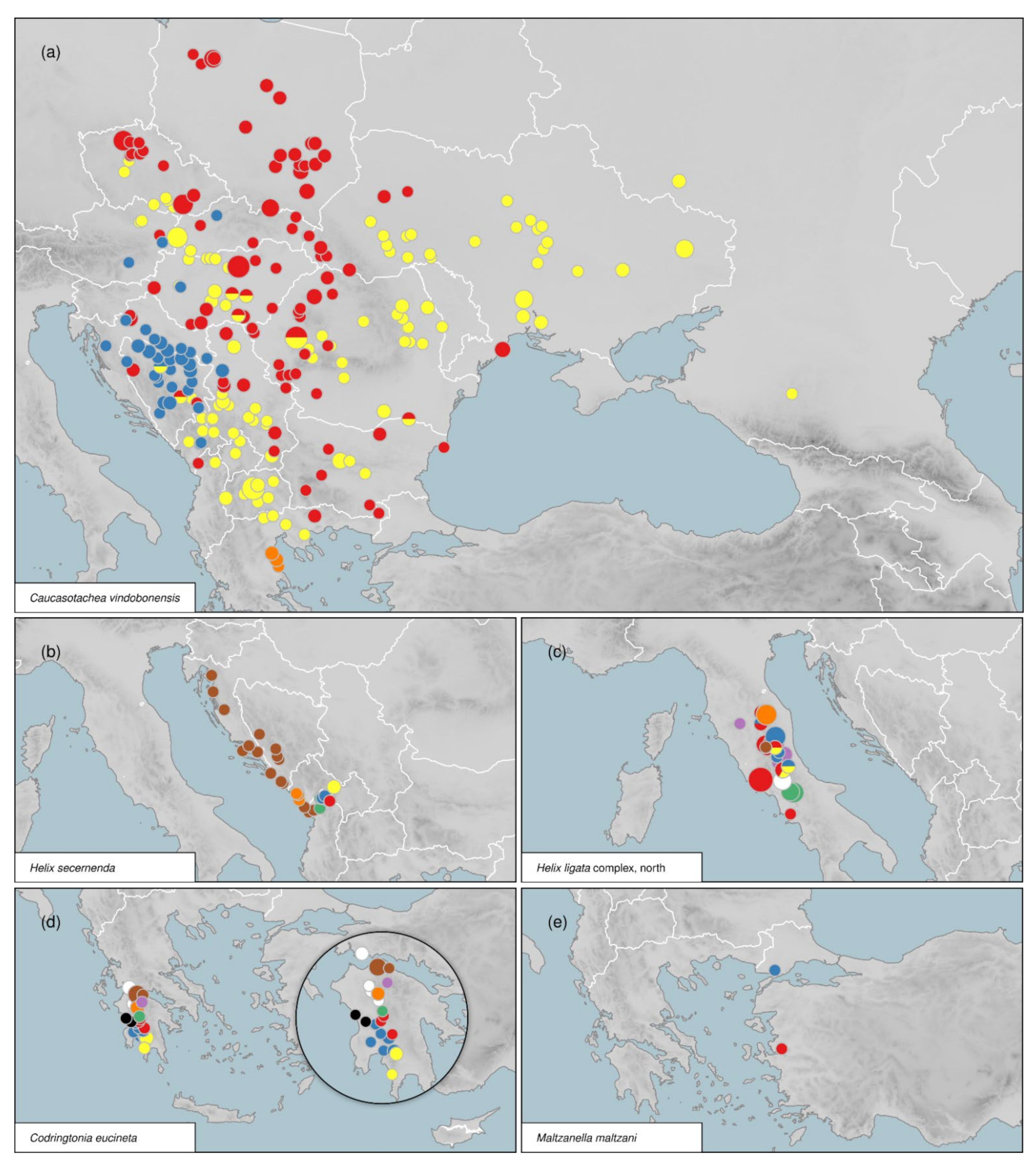 Diversity 14 00024 g006 Diversity 14 00024 g006