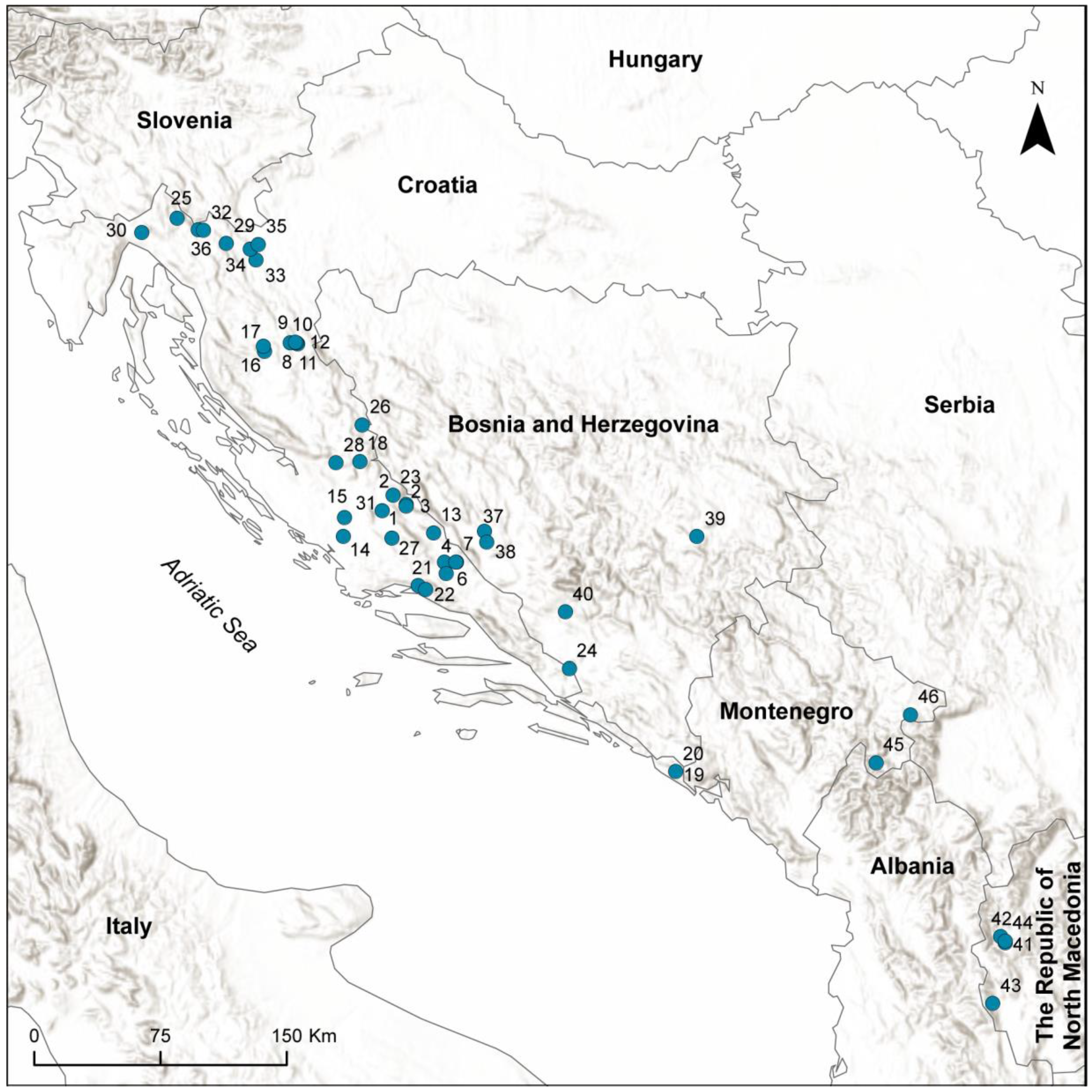 Diversity Free Full Text Ubiquitous But Ignored A Case Of Water Beetle In Southeastern Europe Html
