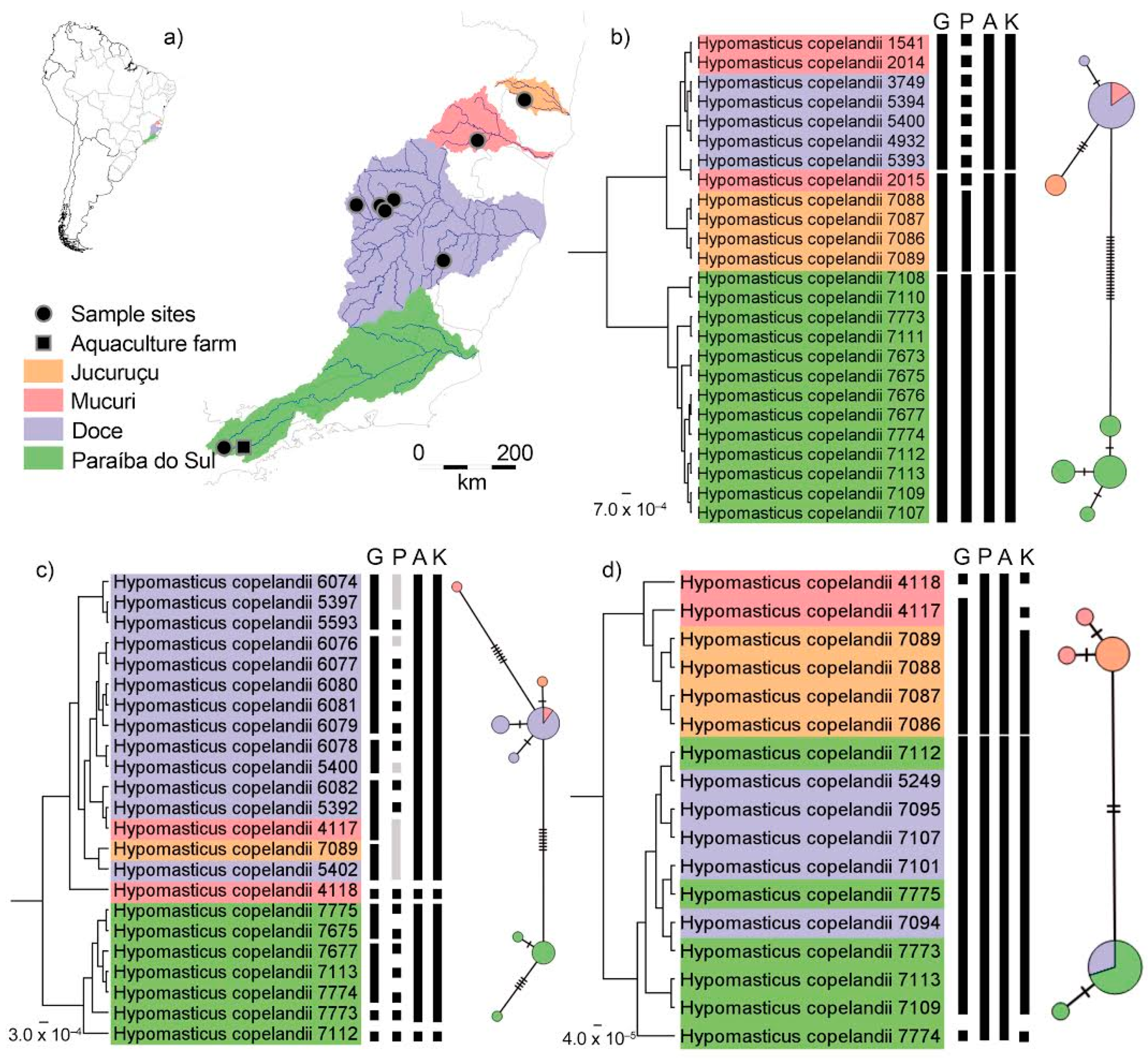 Diversity 14 00029 g002