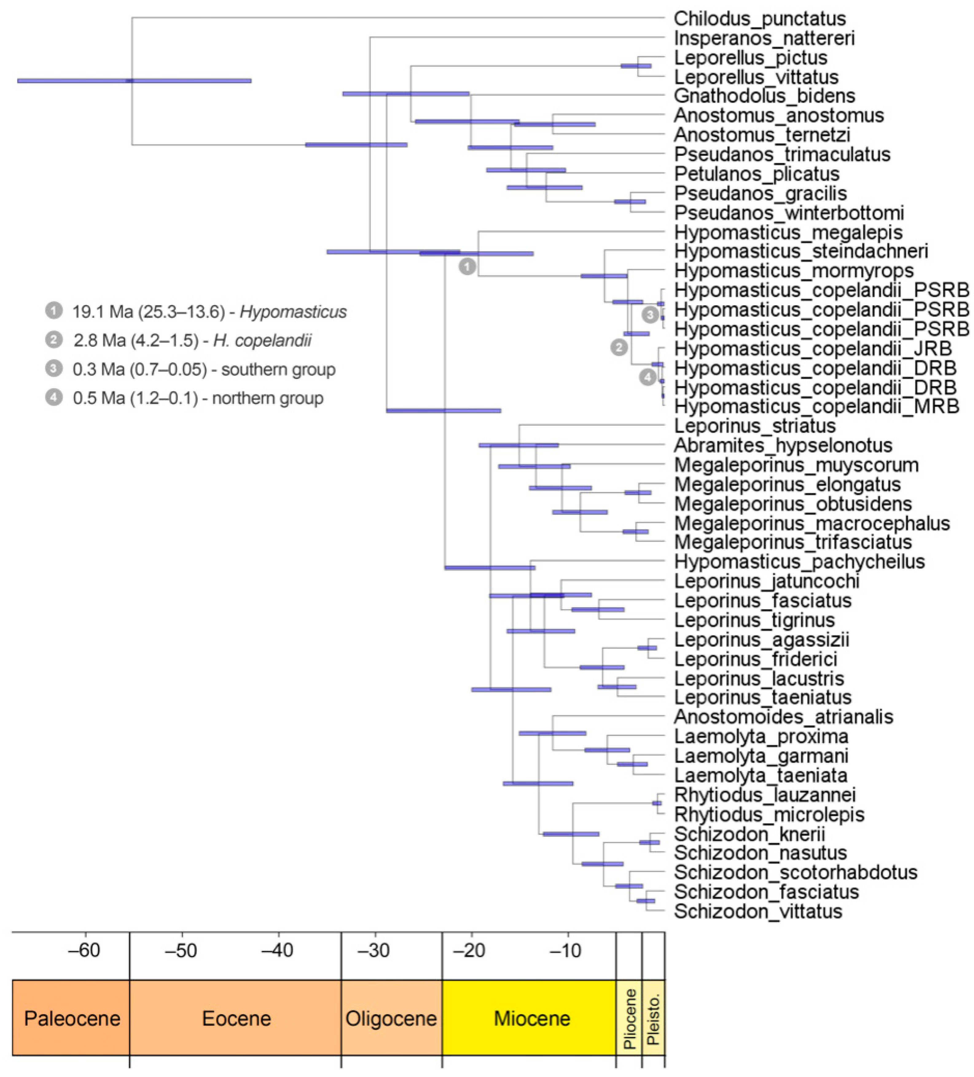 Diversity 14 00029 g003