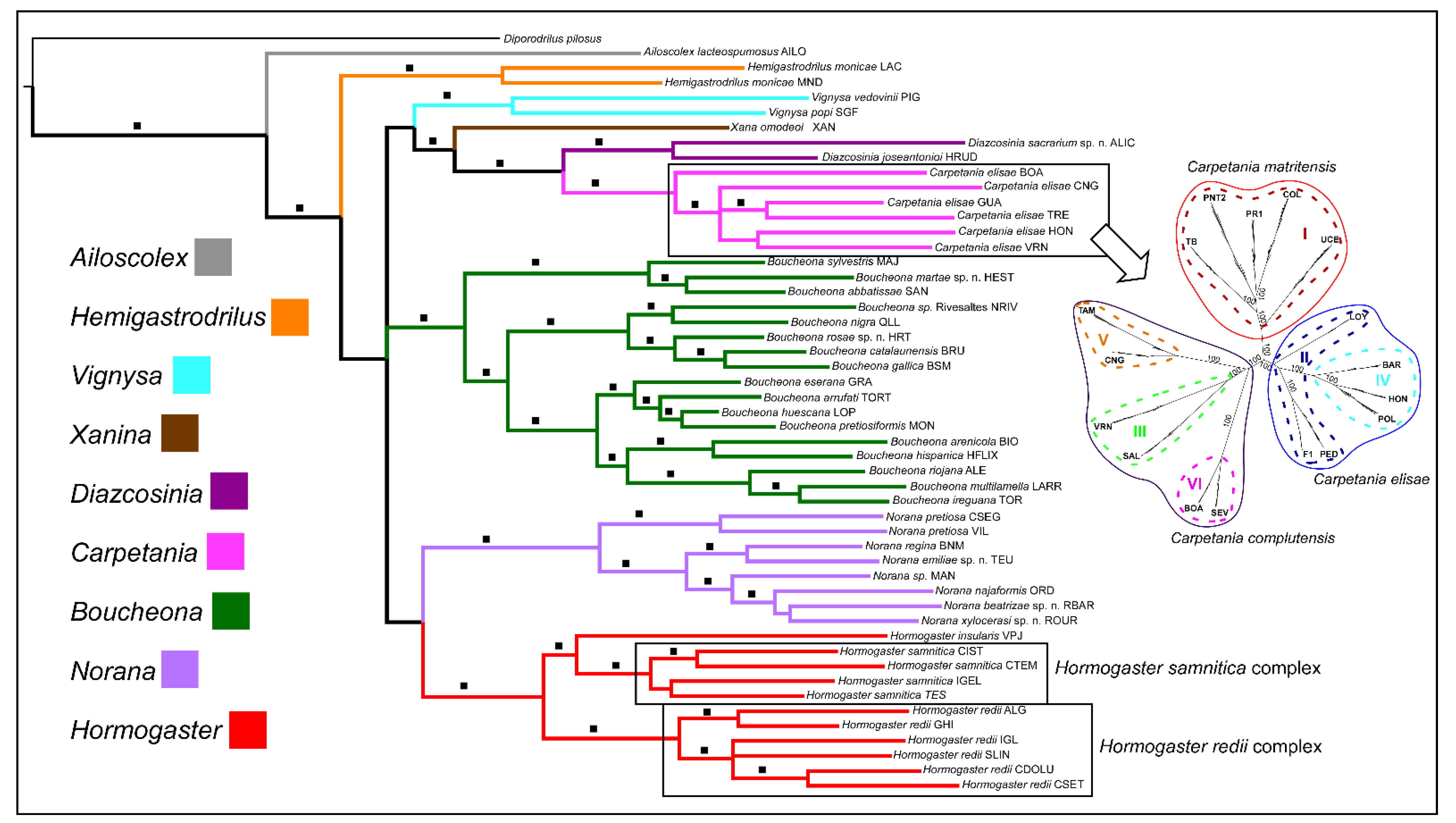 Diversity 14 00030 g003 Diversity 14 00030 g003