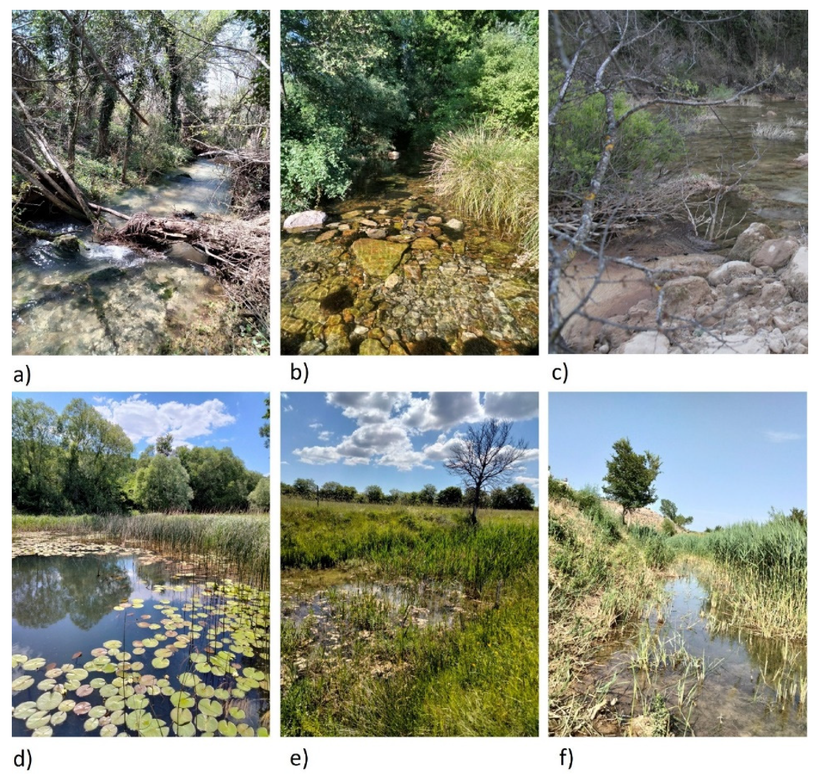 Diversity 14 00031 g002 Diversity 14 00031 g002