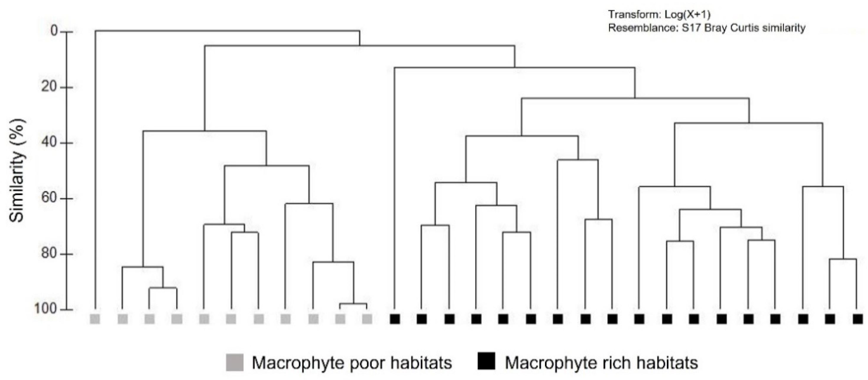 Diversity 14 00031 g004 Diversity 14 00031 g004