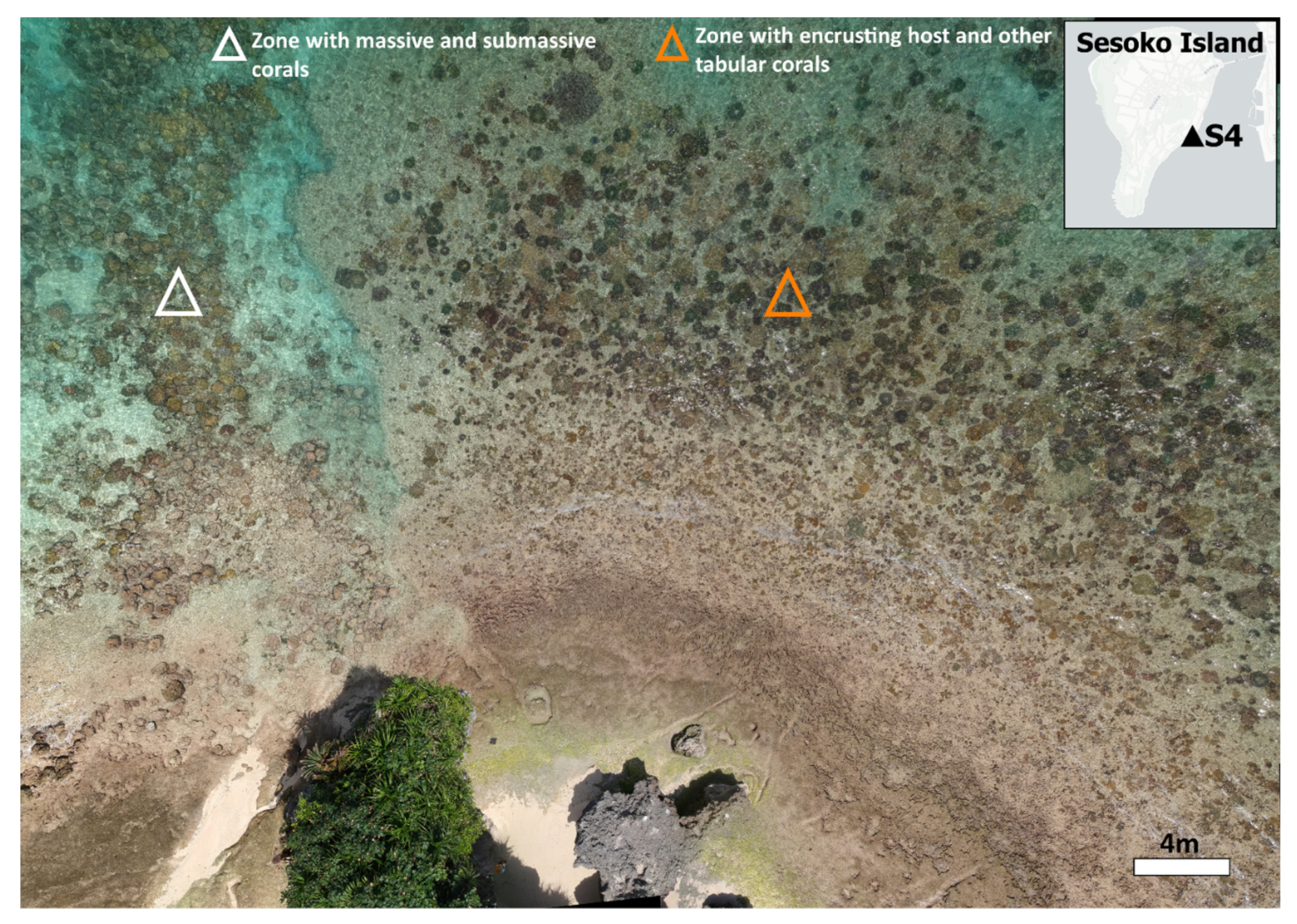 Diversity 14 00032 g002 Diversity 14 00032 g002