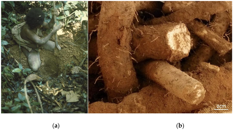 Diversity 14 00036 g003 Diversity 14 00036 g003