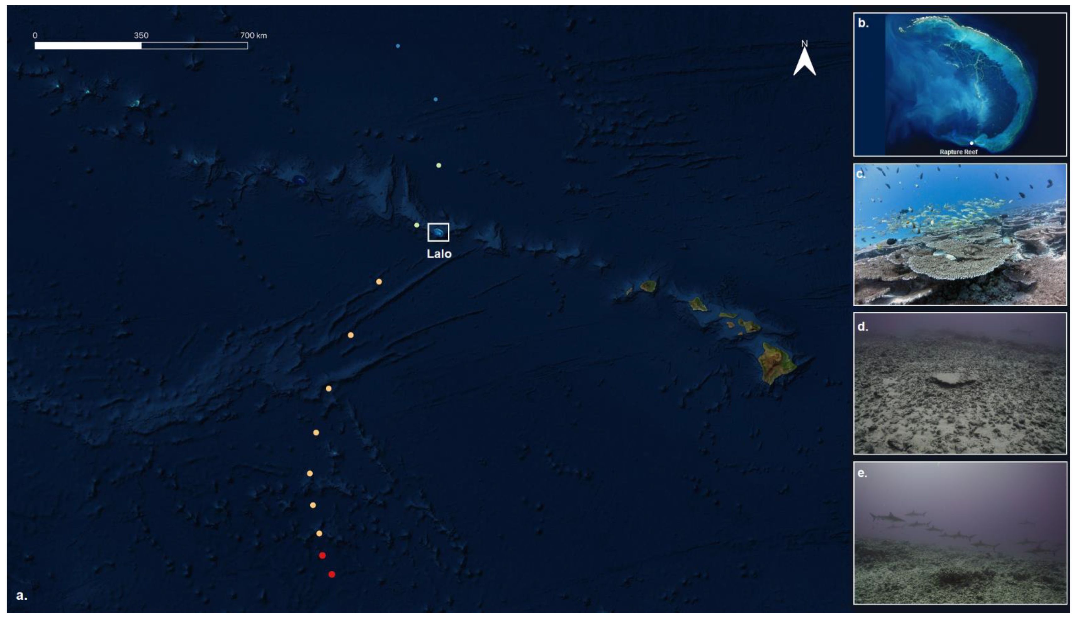 Diversity 14 00039 g001