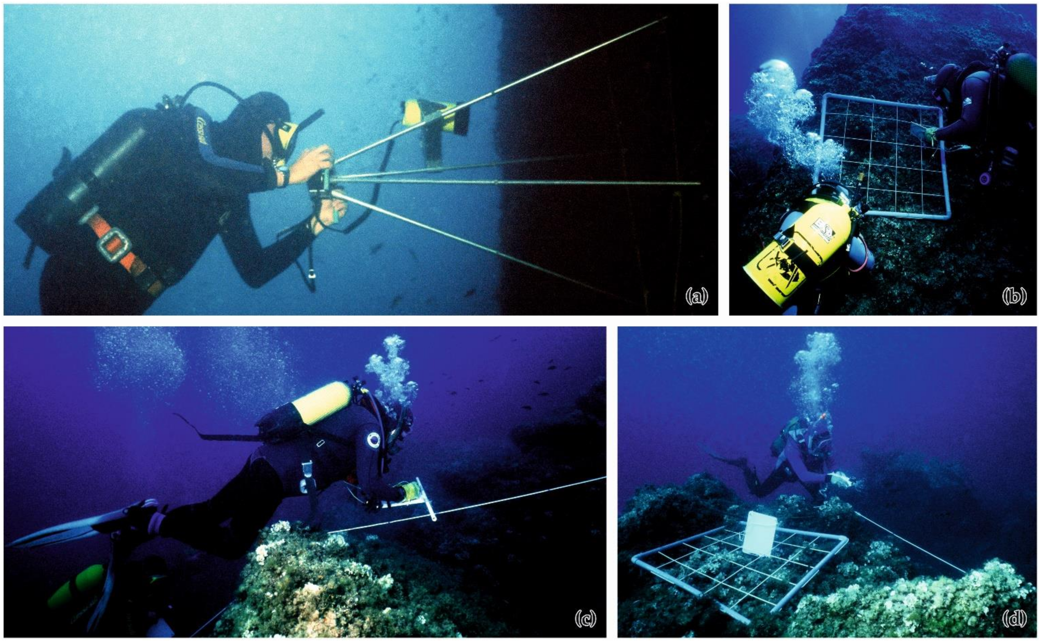 Diversity 14 00043 g005 Diversity 14 00043 g005