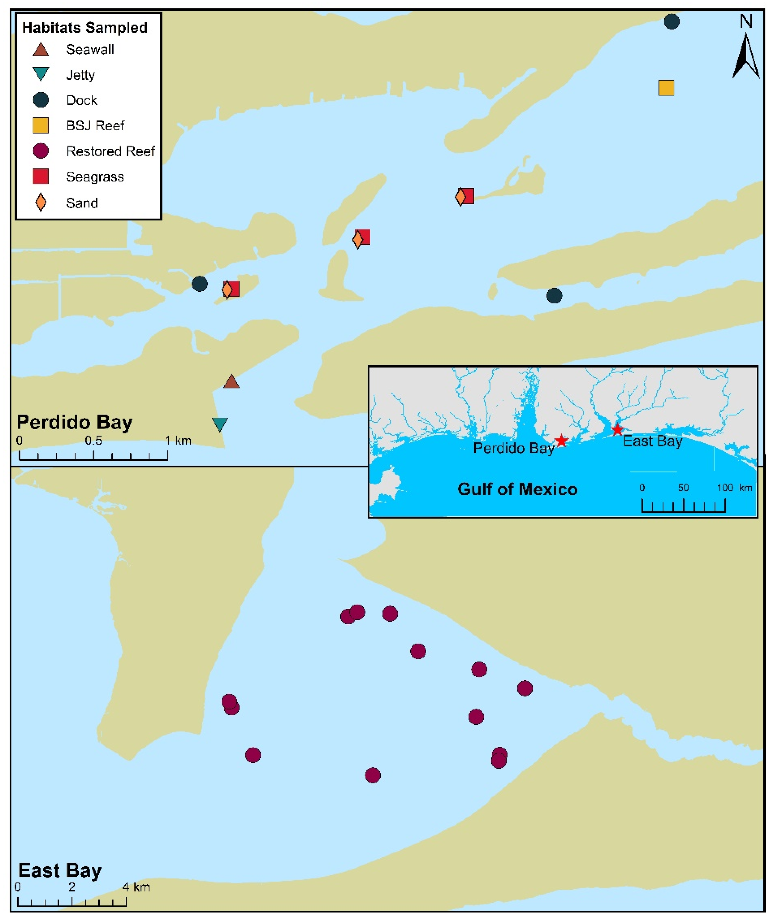 Diversity 14 00050 g001