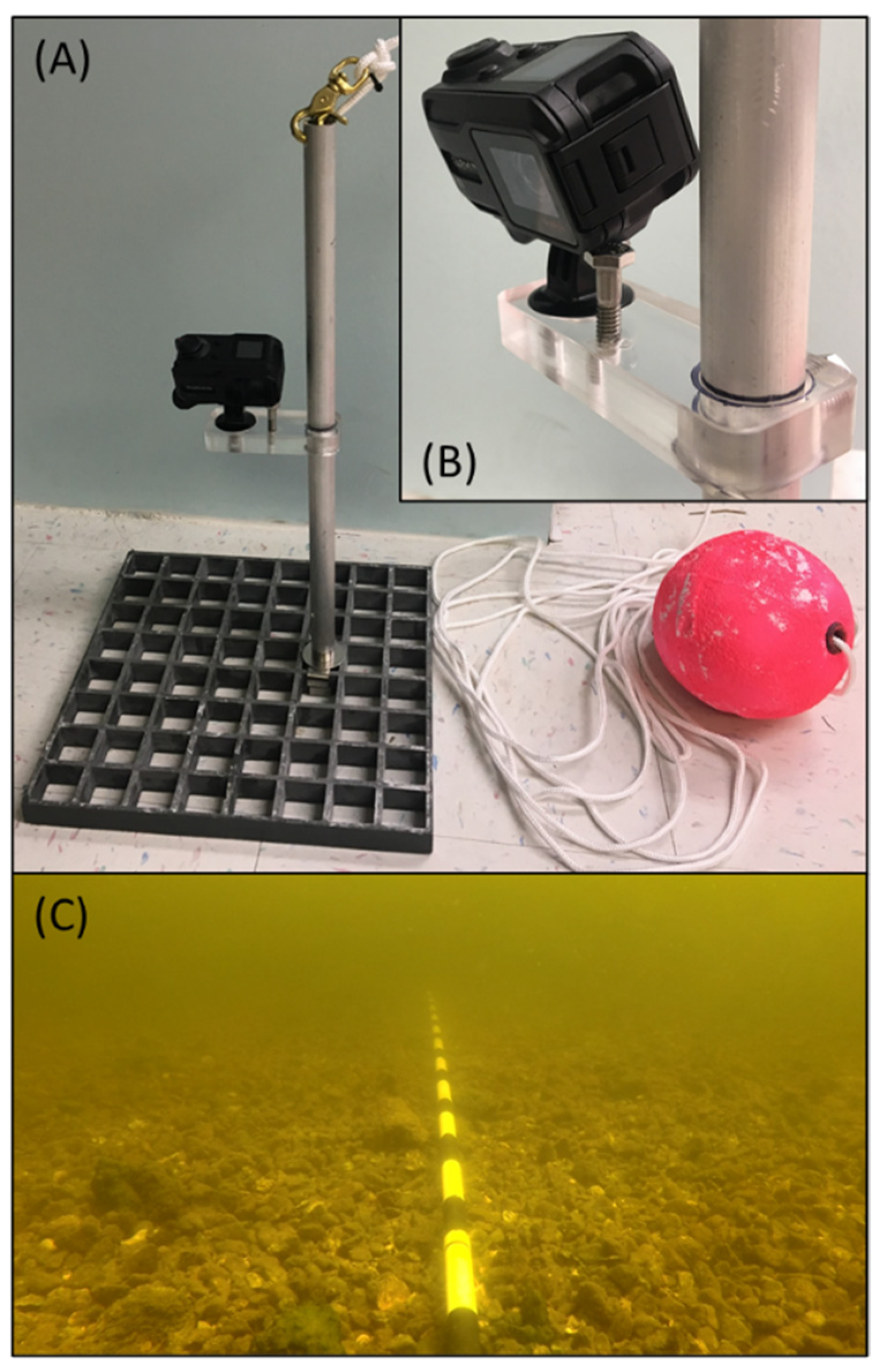 Diversity 14 00050 g002