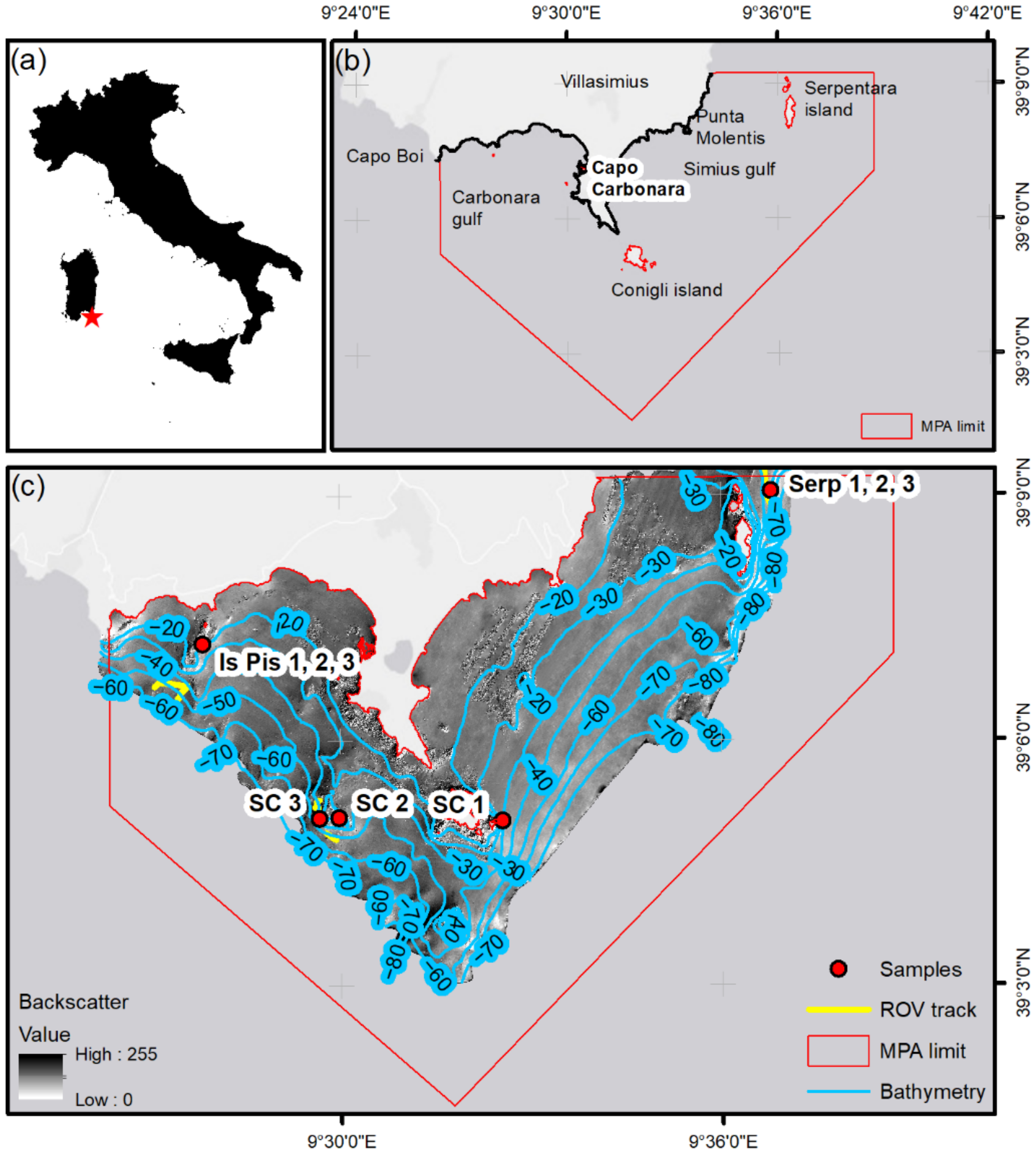 Diversity 14 00051 g001 550