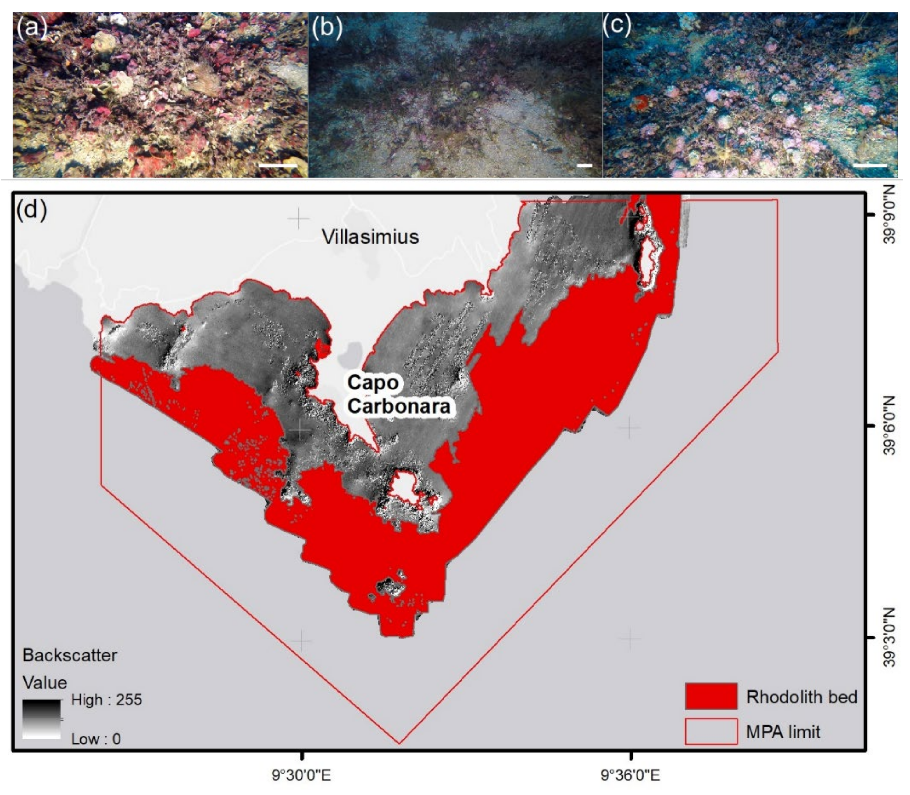 Diversity 14 00051 g002 550