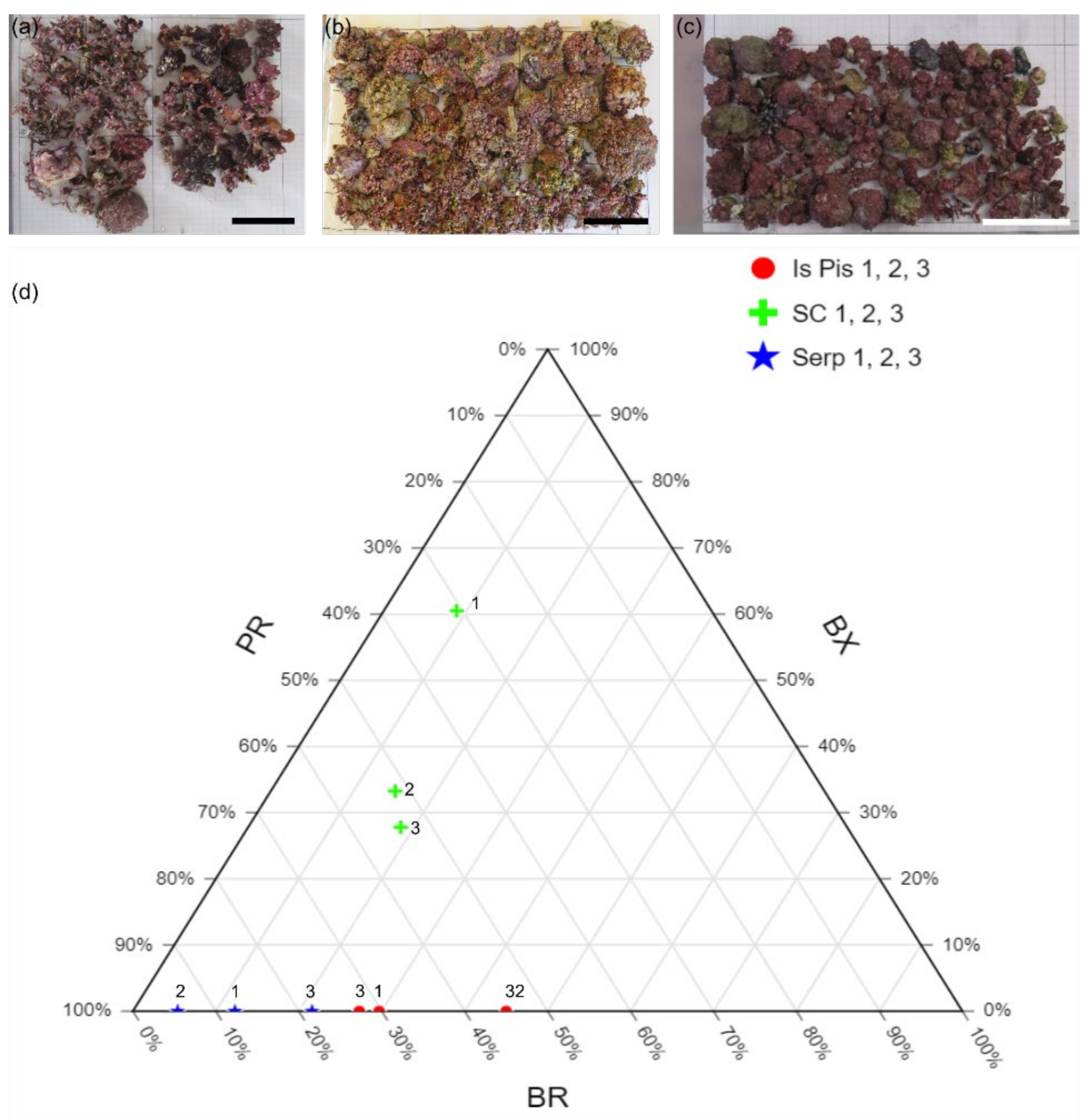 Diversity 14 00051 g003 550