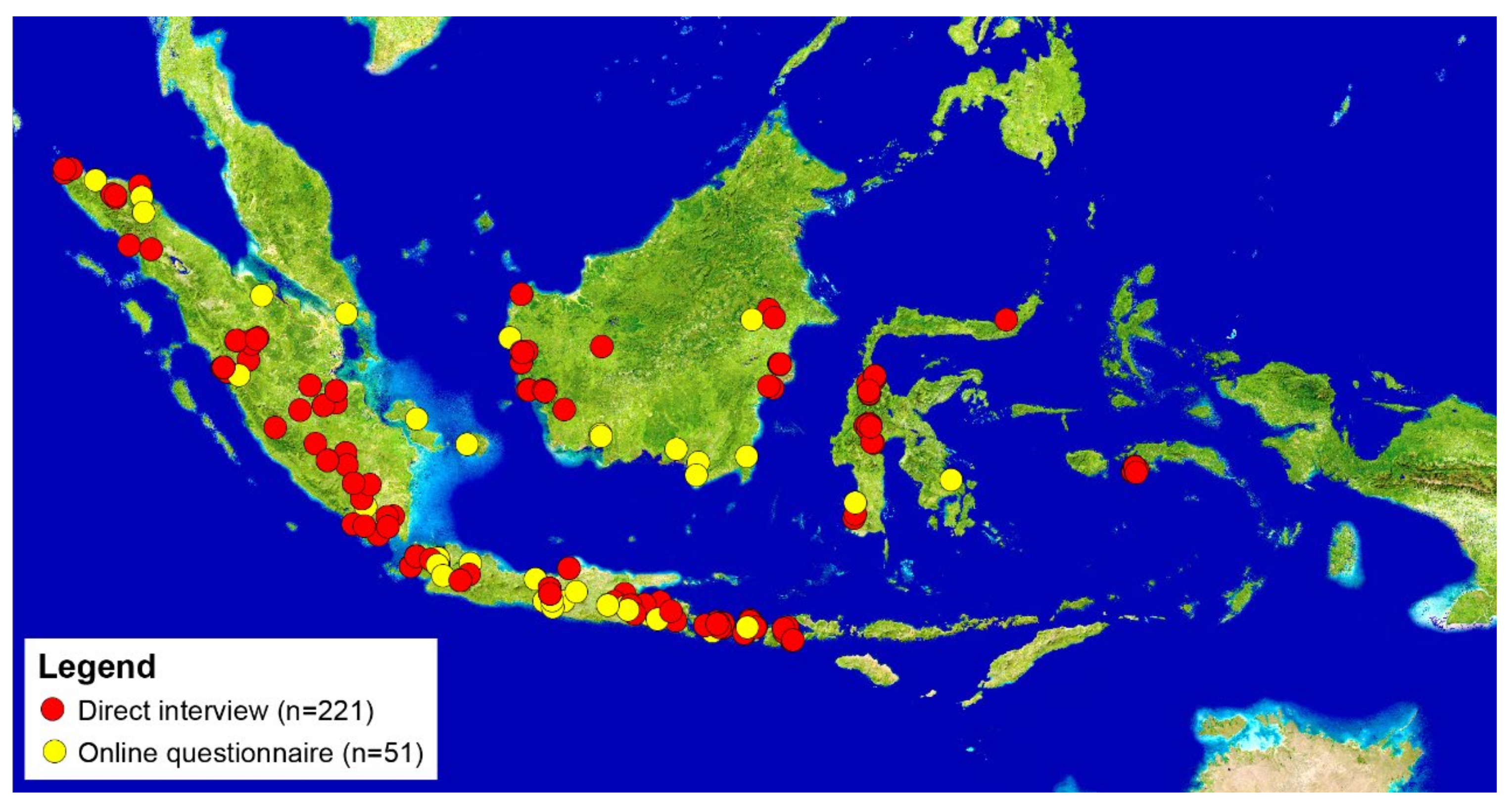 Natural History of Social Wasps & Bees in Equatorial Sumatra