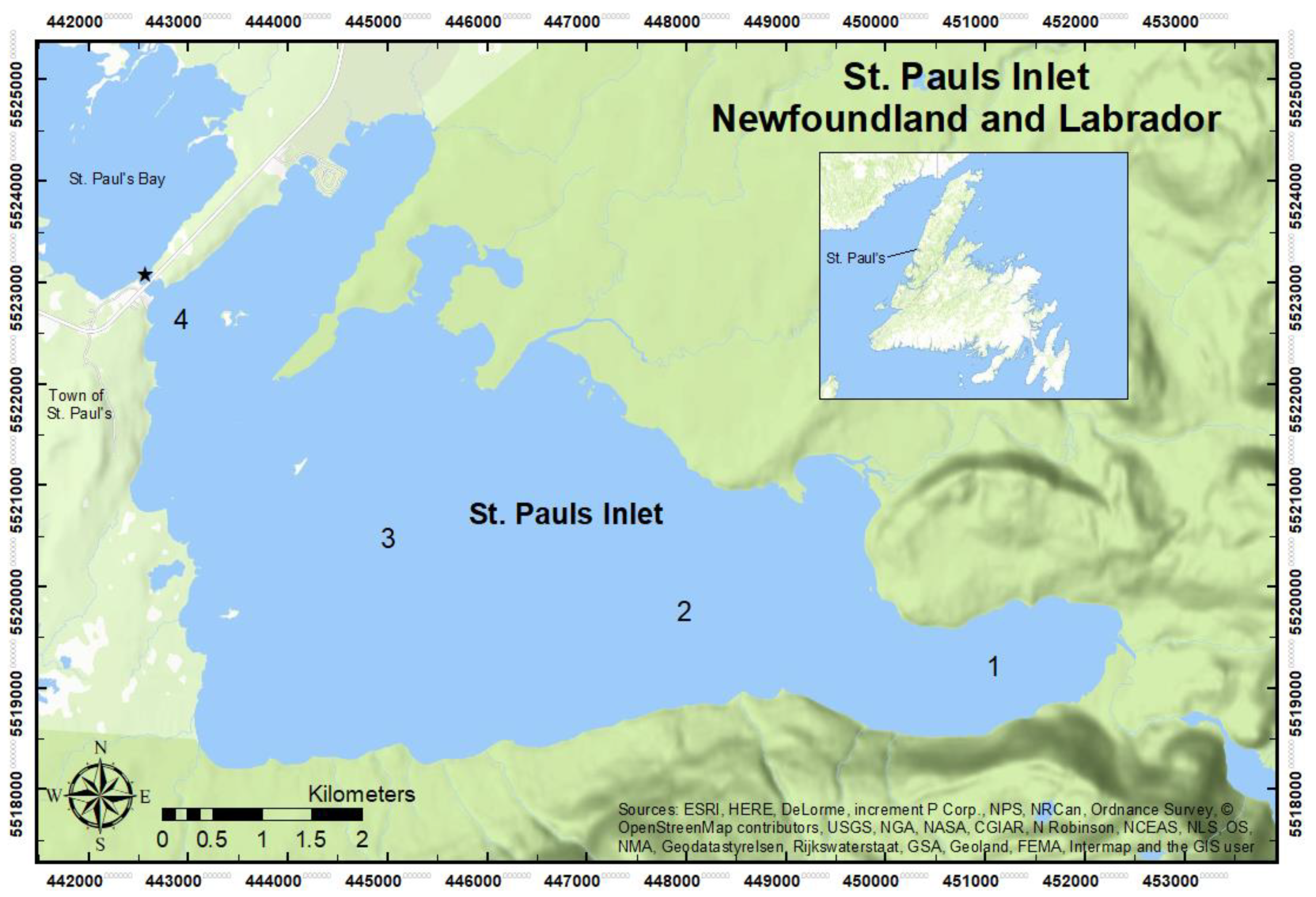 Diversity 14 00059 g001 Diversity 14 00059 g001