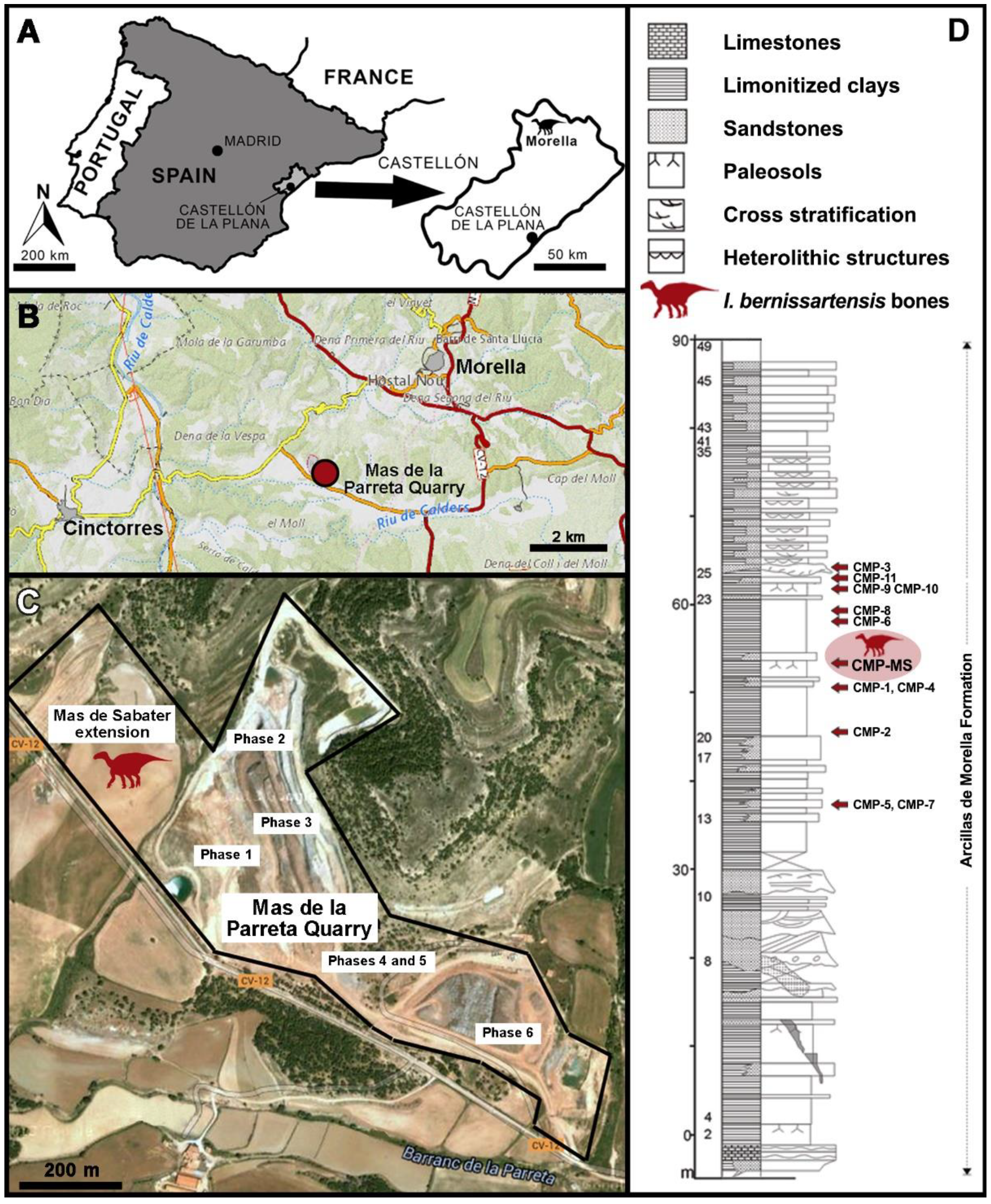 Diversity 14 00063 g001