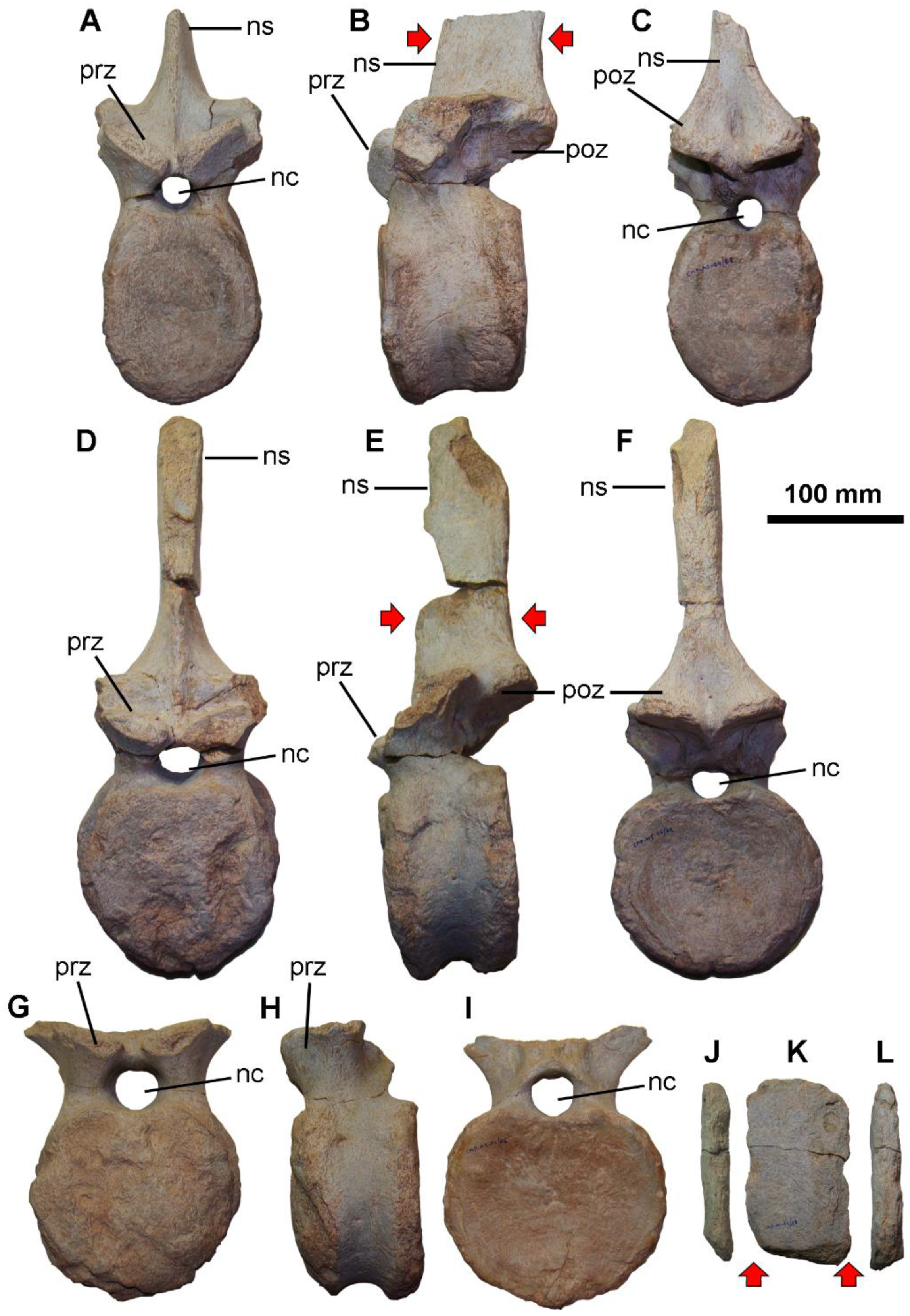 Diversity 14 00063 g002