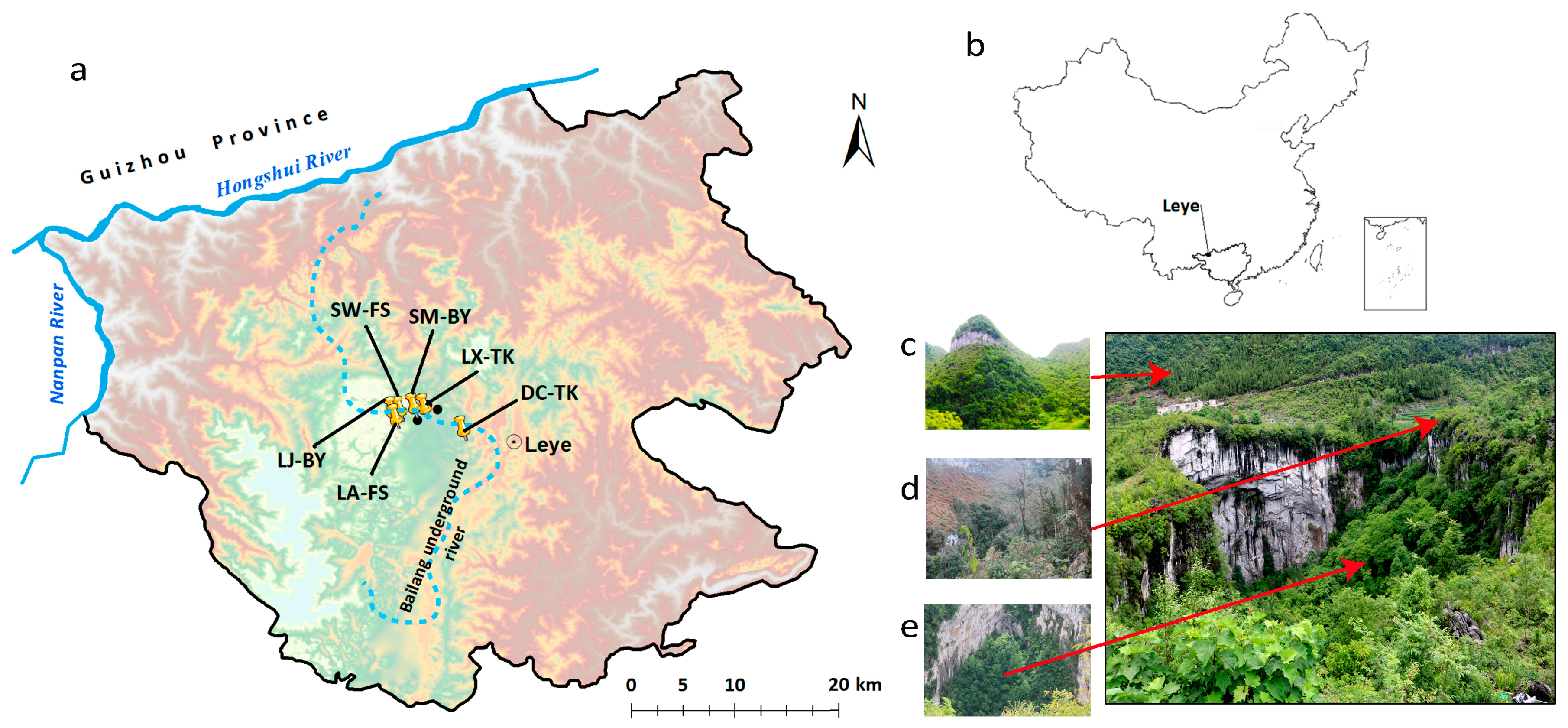 Diversity 14 00064 g001