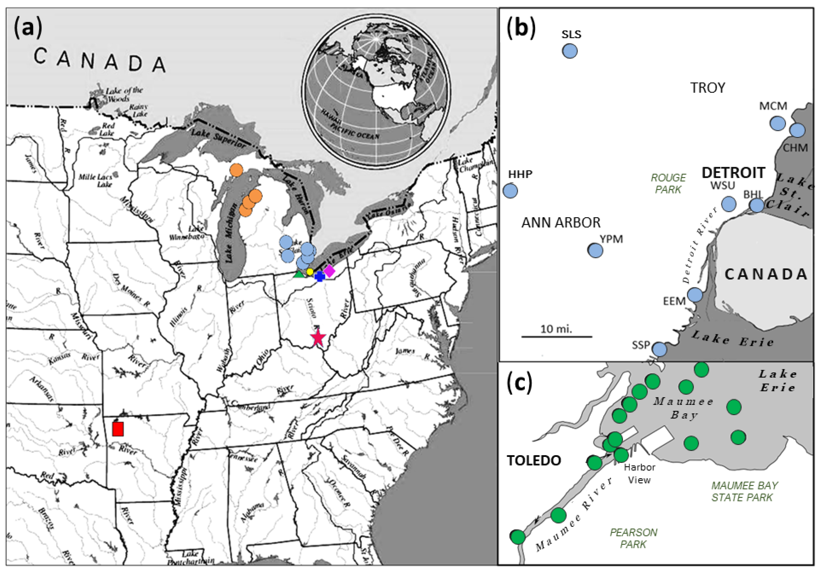 Diversity 14 00065 g001