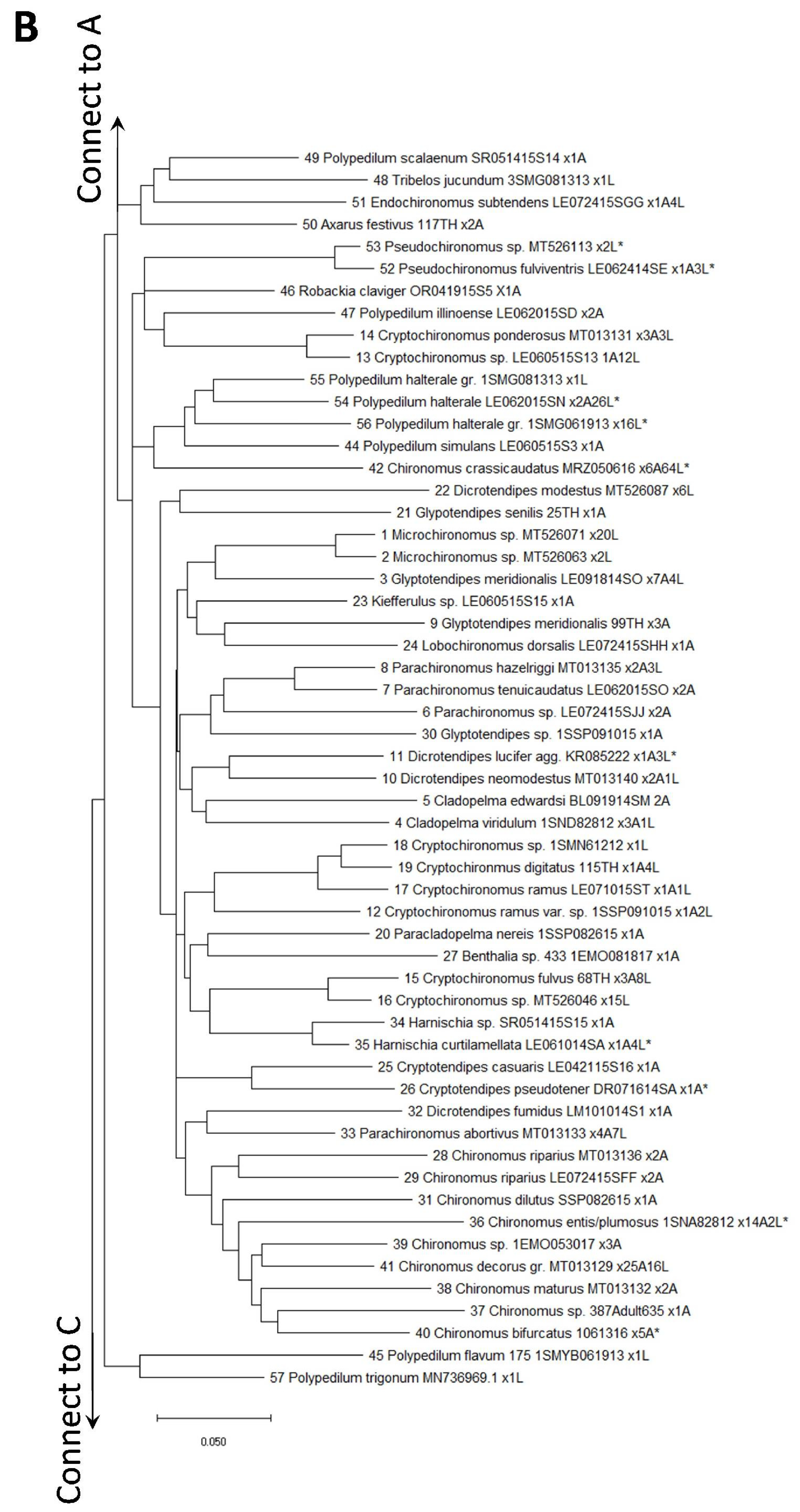 Diversity 14 00065 g002b