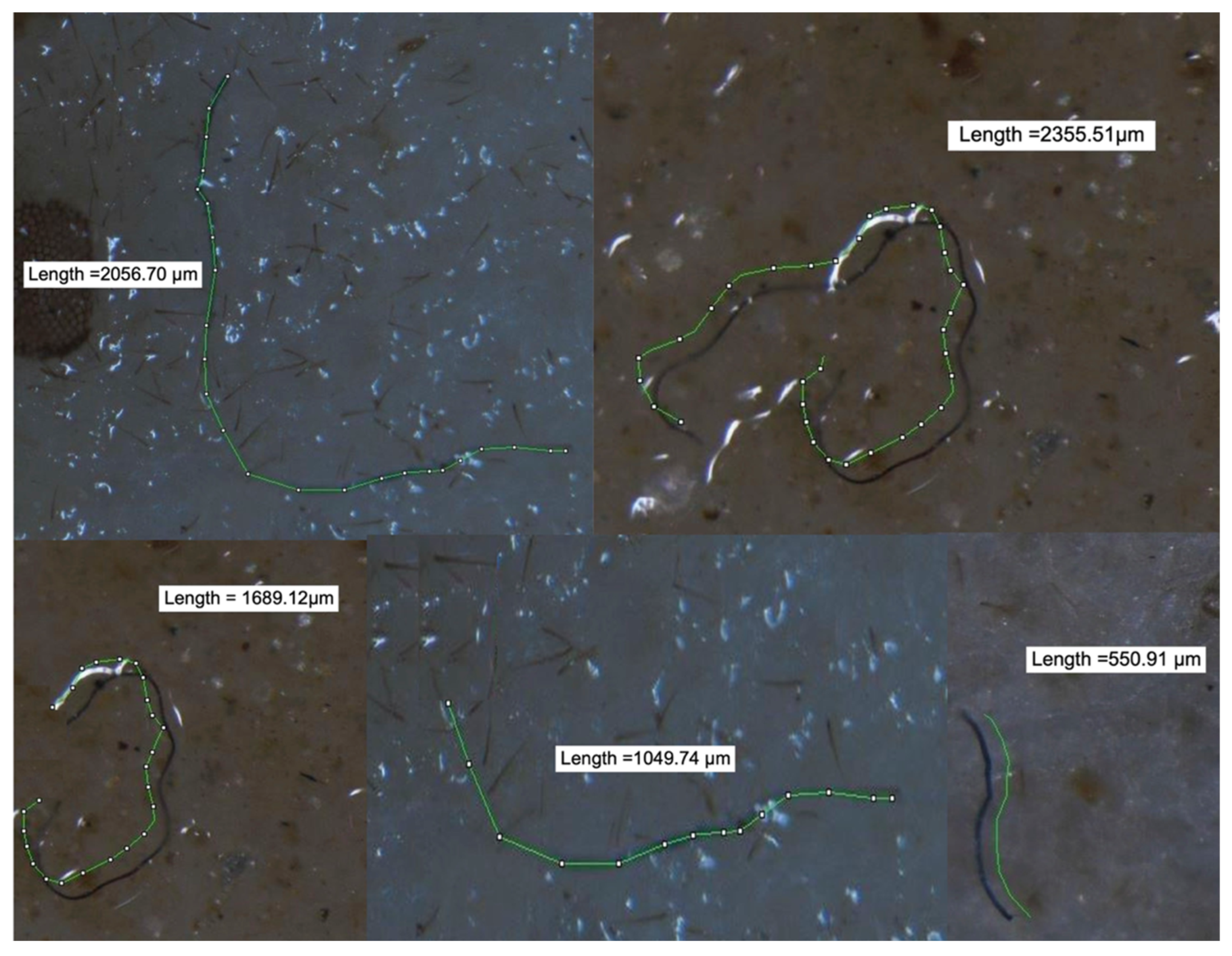 Diversity 14 00066 g002 550