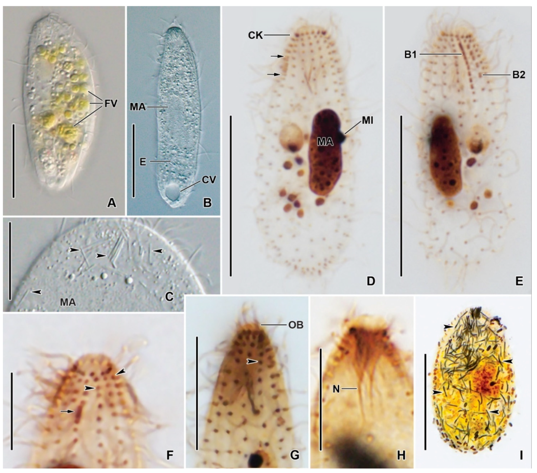 Diversity 14 00070 g002