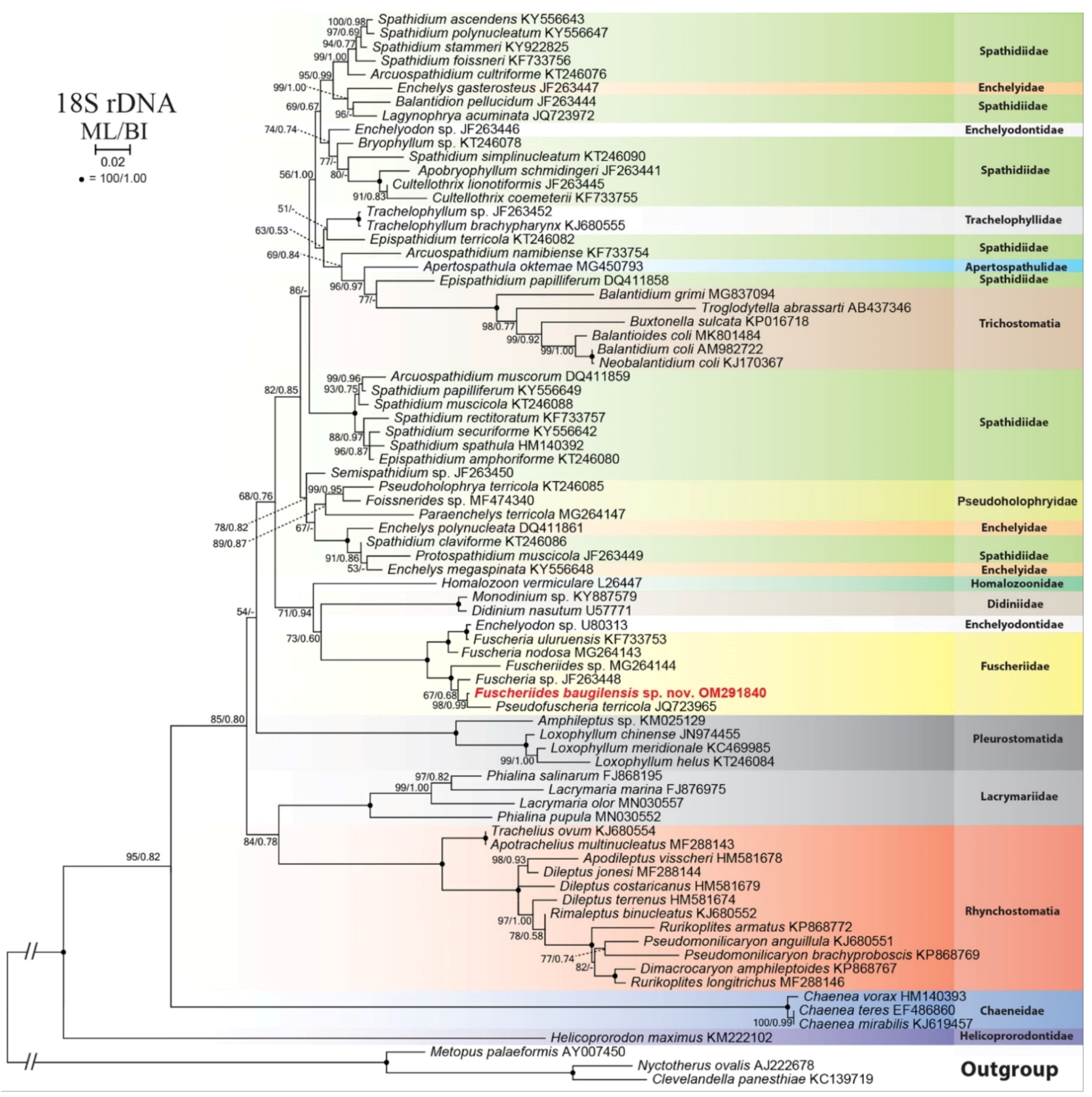 Diversity 14 00070 g003