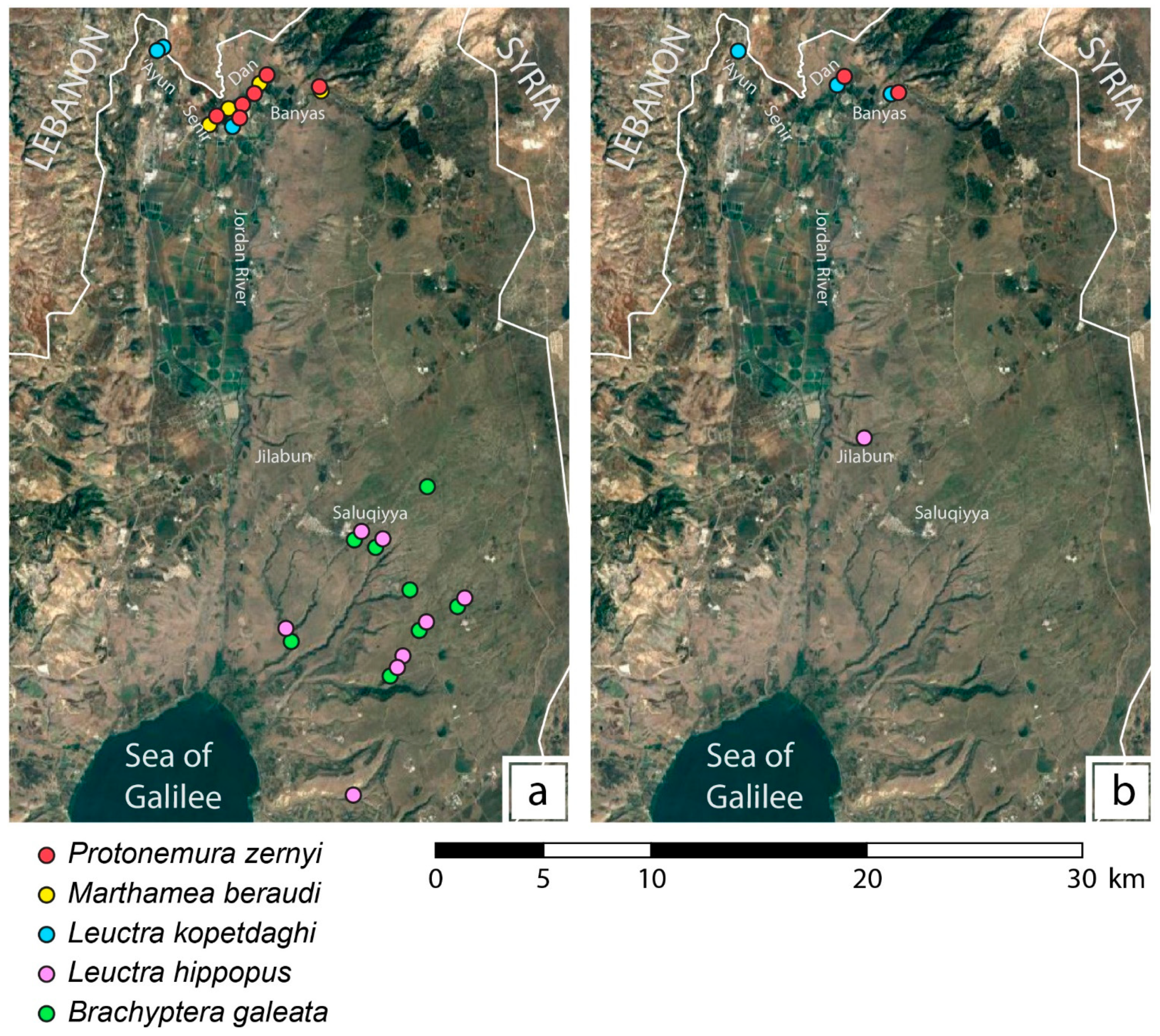 Diversity 14 00080 g001 550