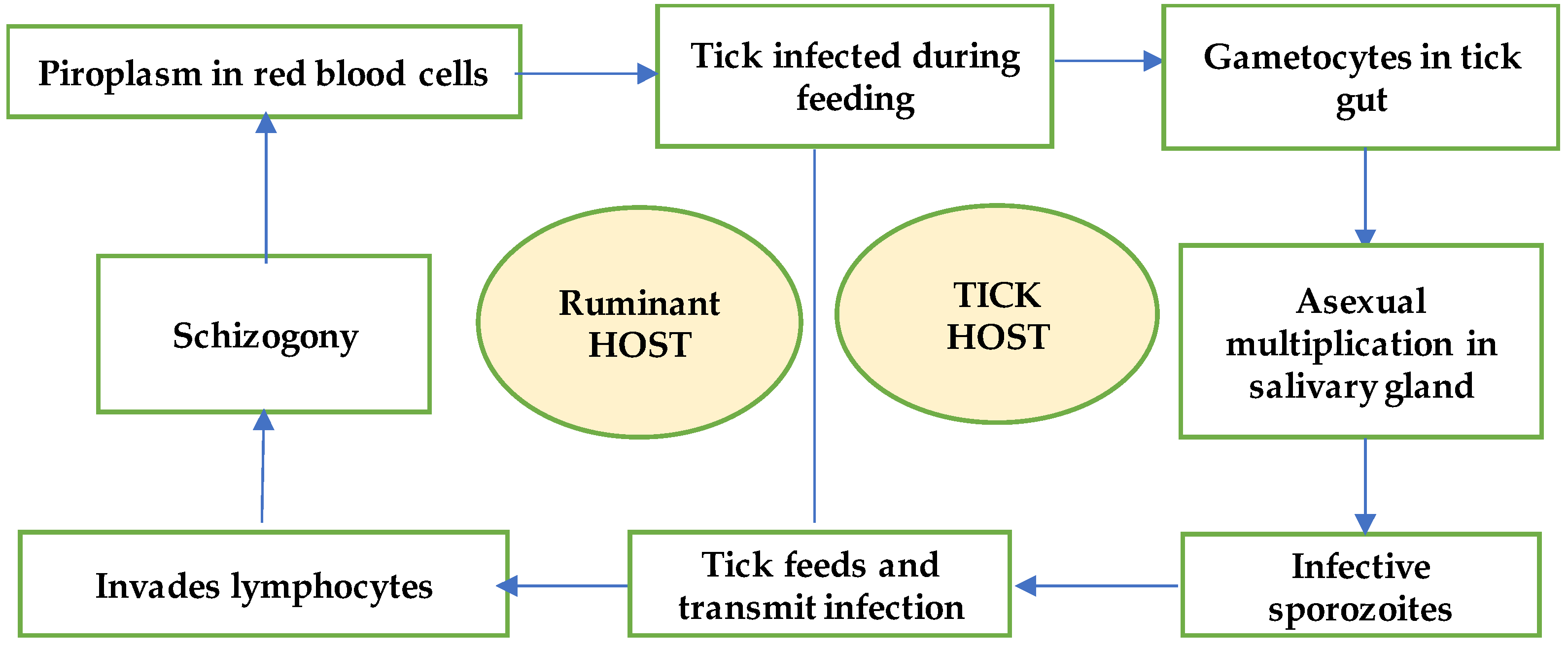 Diversity 14 00082 g001
