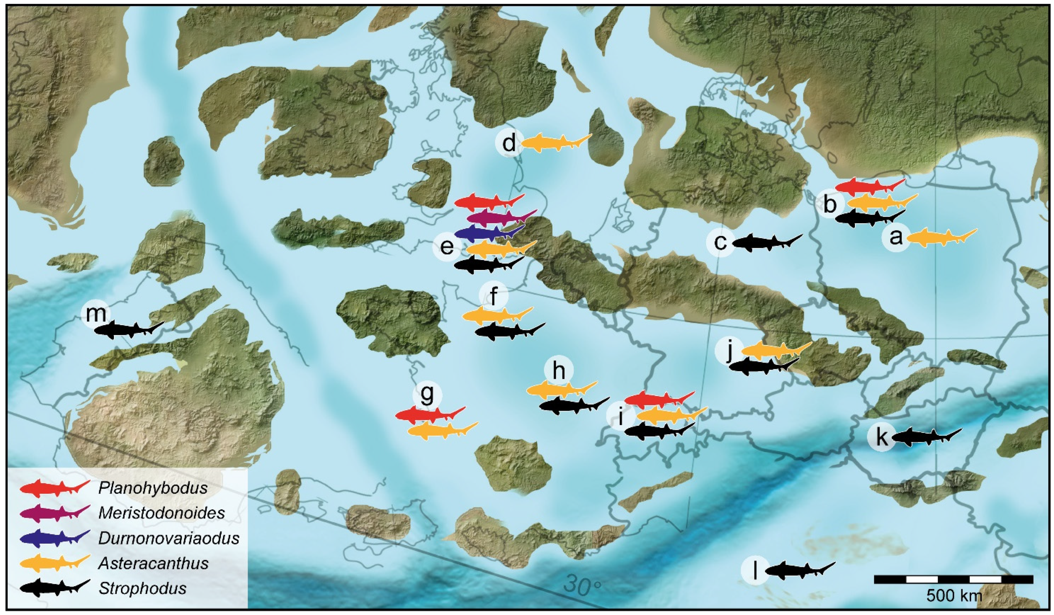 Diversity 14 00085 g006 Diversity 14 00085 g006