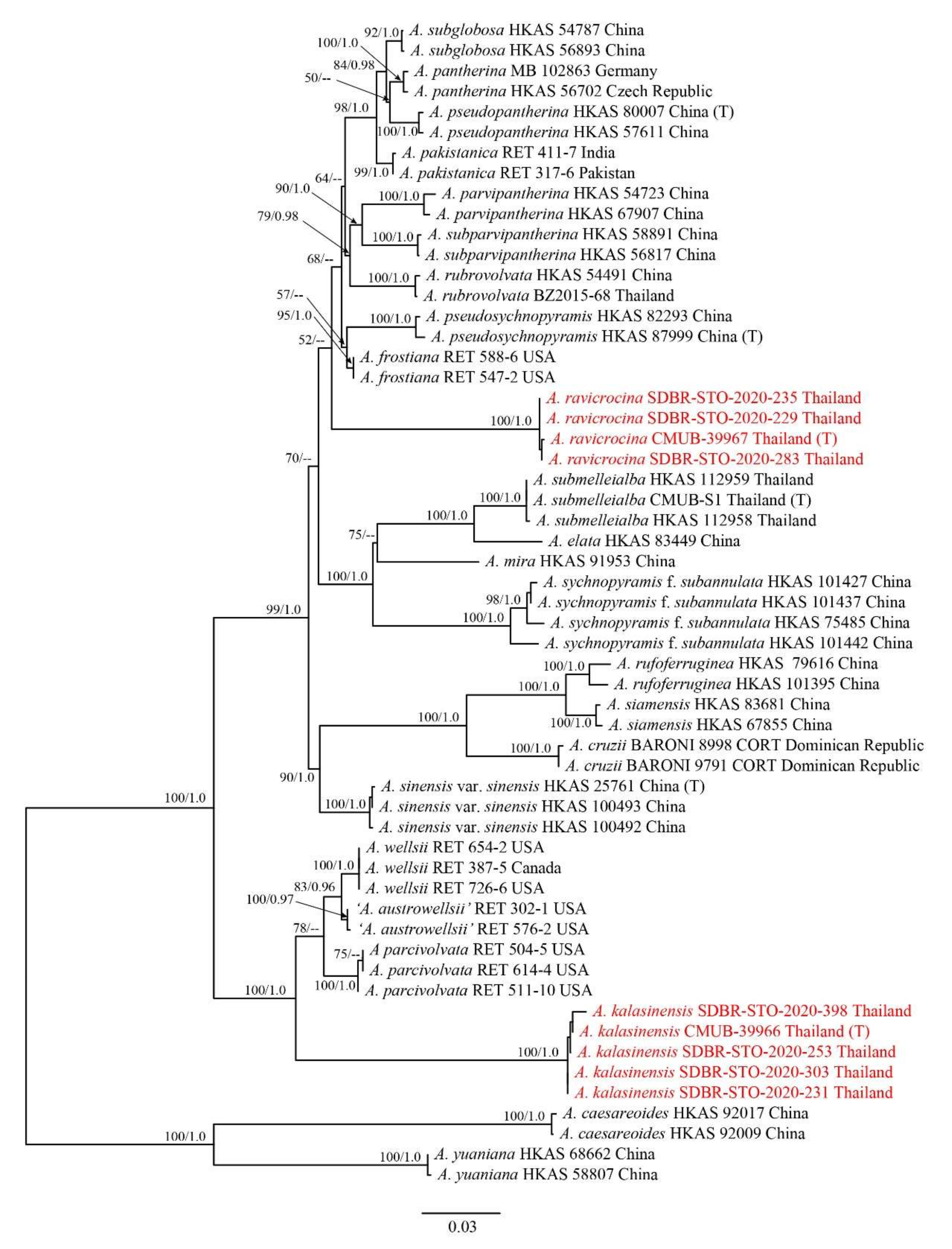 Diversity 14 00101 g001