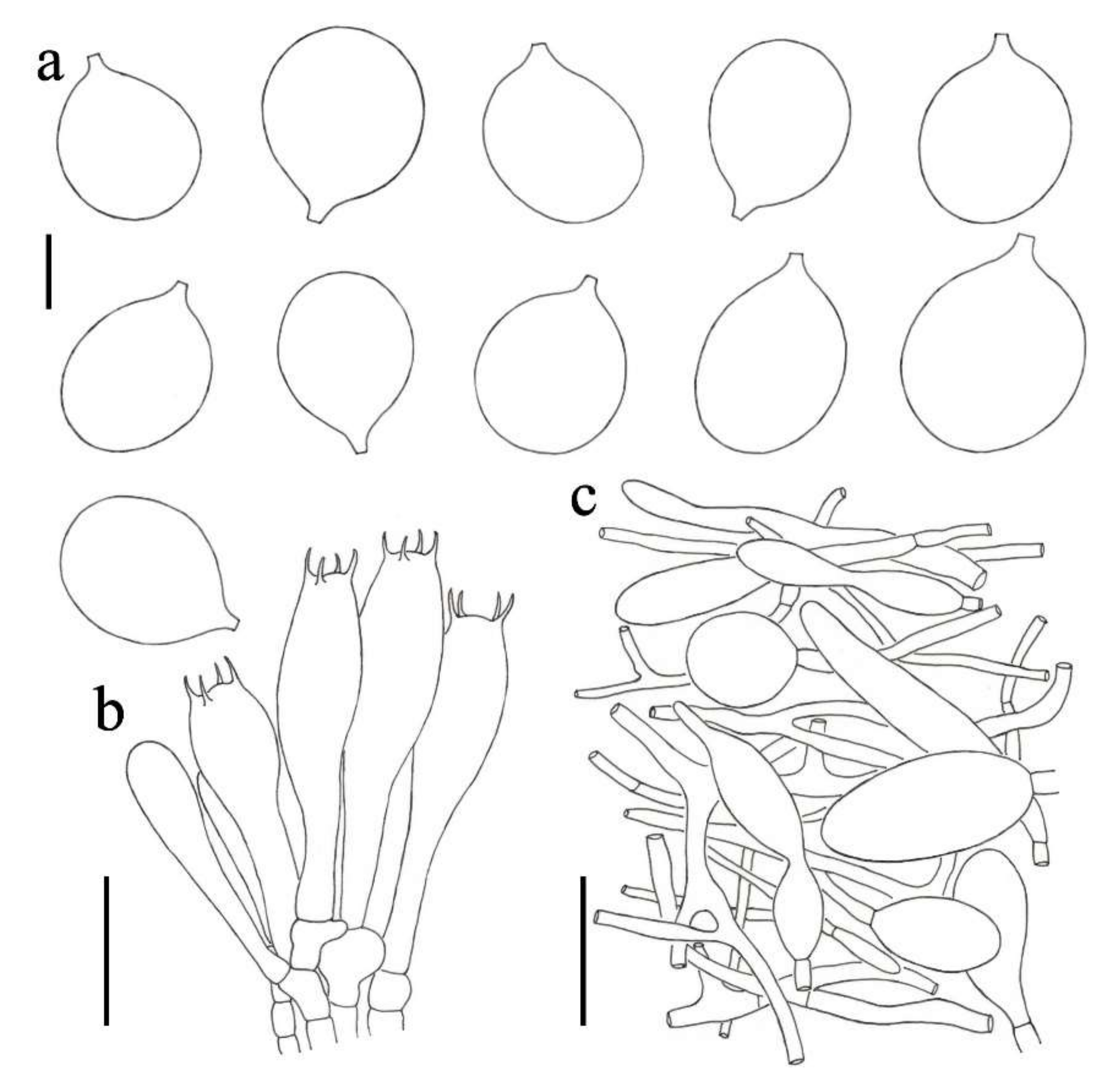 Diversity 14 00101 g005