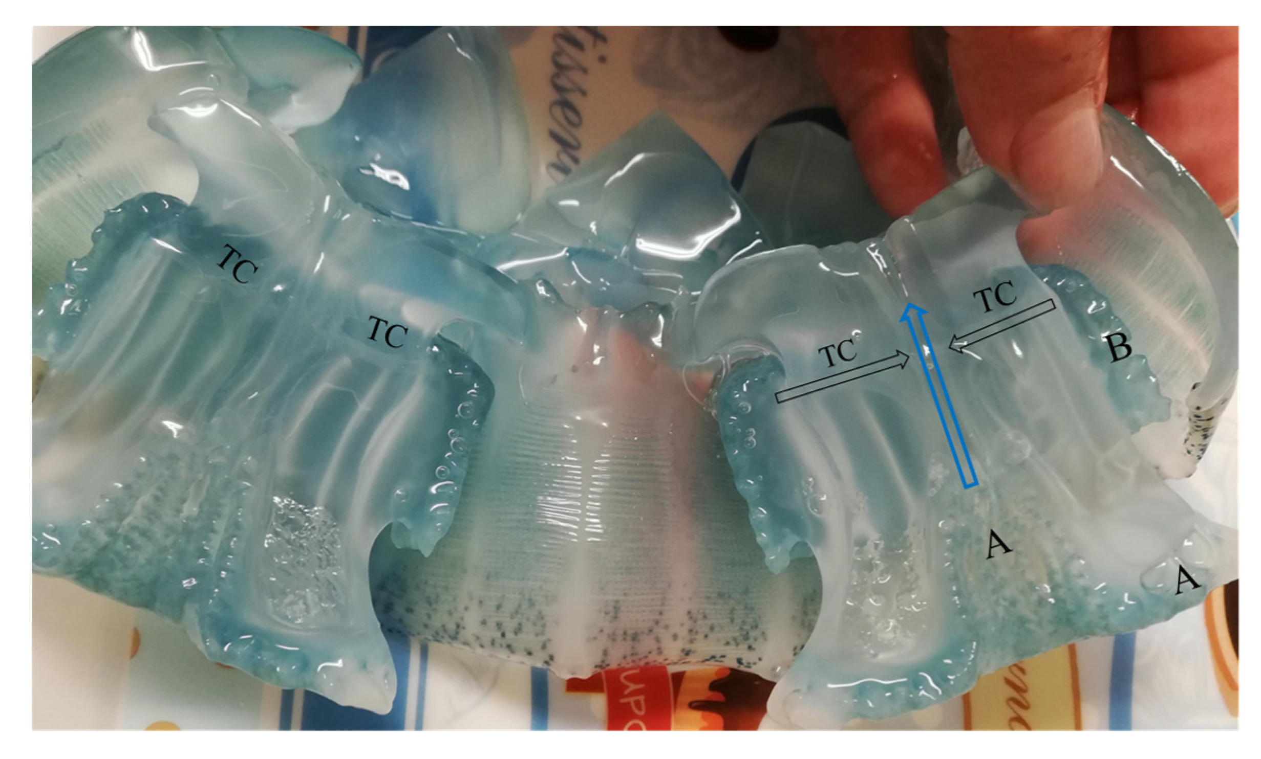 Diversity 14 00103 g003 550